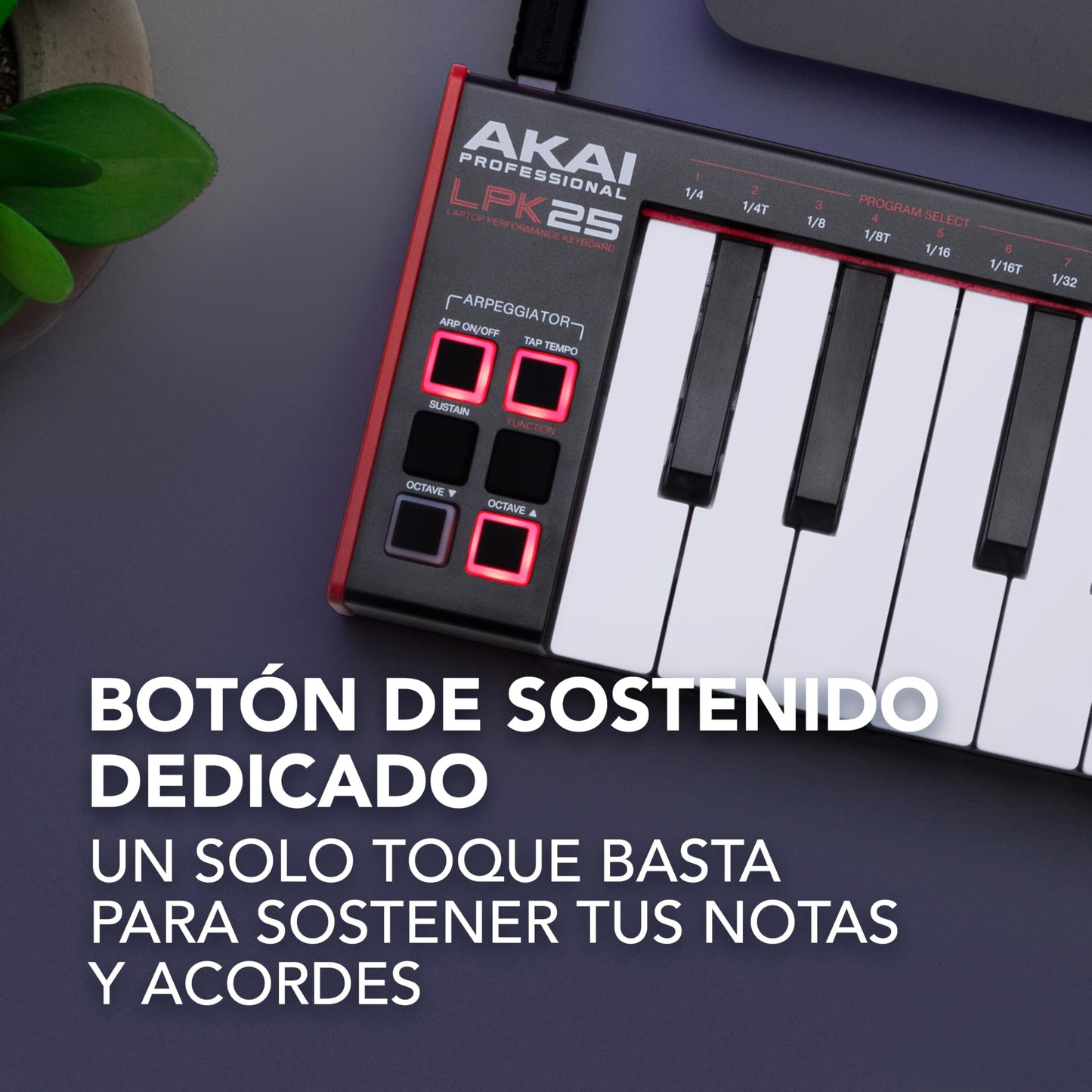 AKAI Professional LPK25 MKII - Тeclado controlador MIDI USB con 25 teclas de sinte sensibles para Mac y PC, arpegiador y software de producción musical