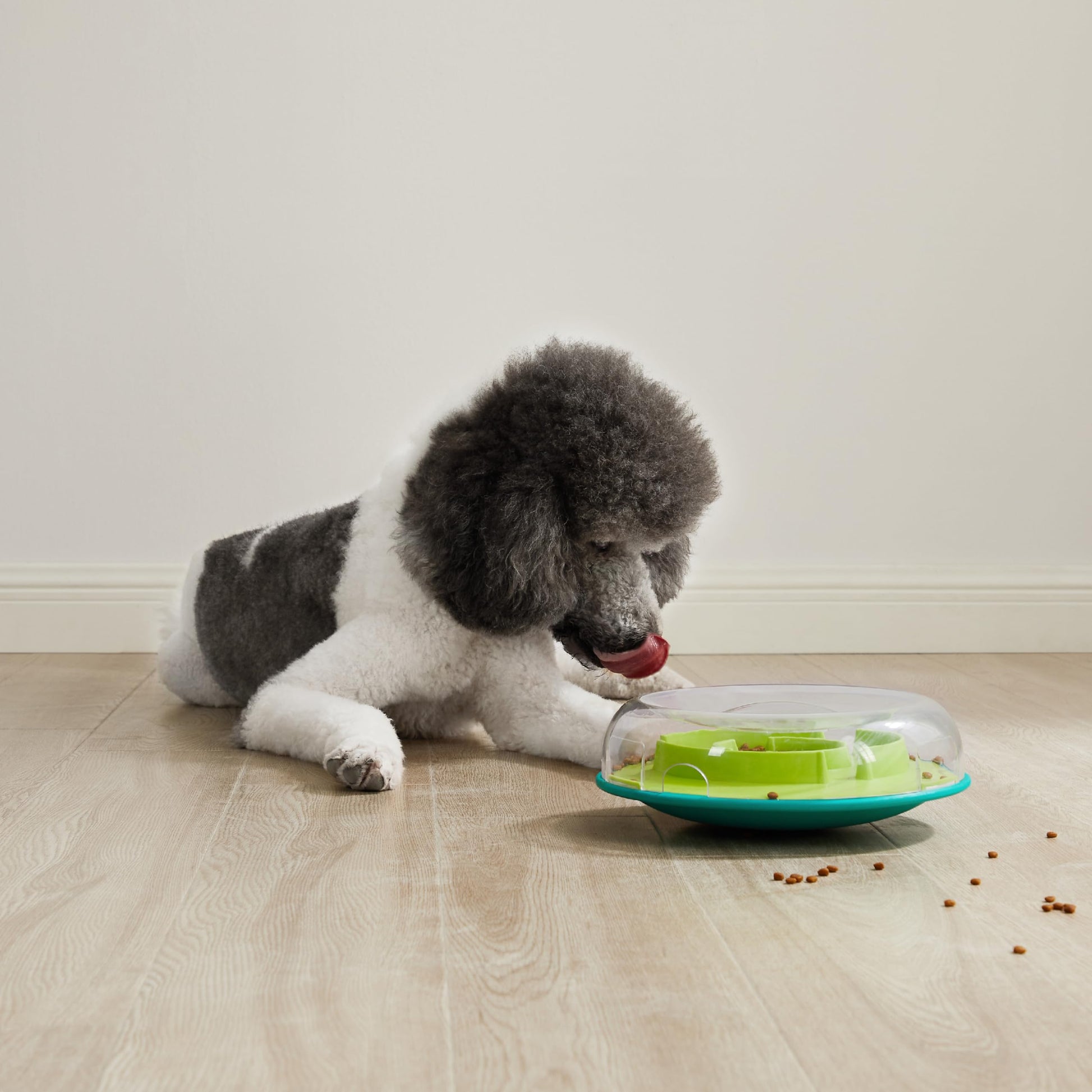 Juego Interactivo Outward Hound Nina Ottosson Wobble Bowl para alimentación Lenta de Perro