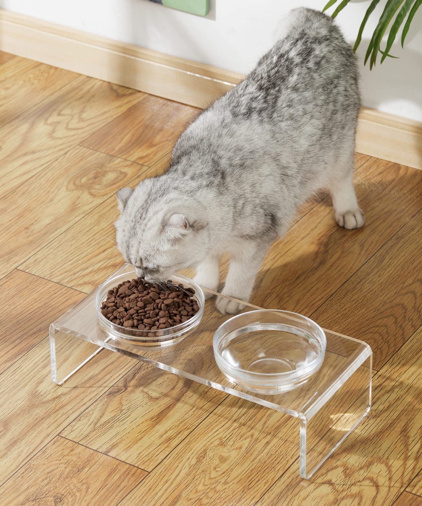 Cuencos elevados de acrílico para perros y gatos, comedero para mascotas, soporte elevado doble viene con 2 cuencos de vidrio extraíbles y 2 cuencos de acero inoxidable. Perfecto para gatos, cachorros y perros pequeños