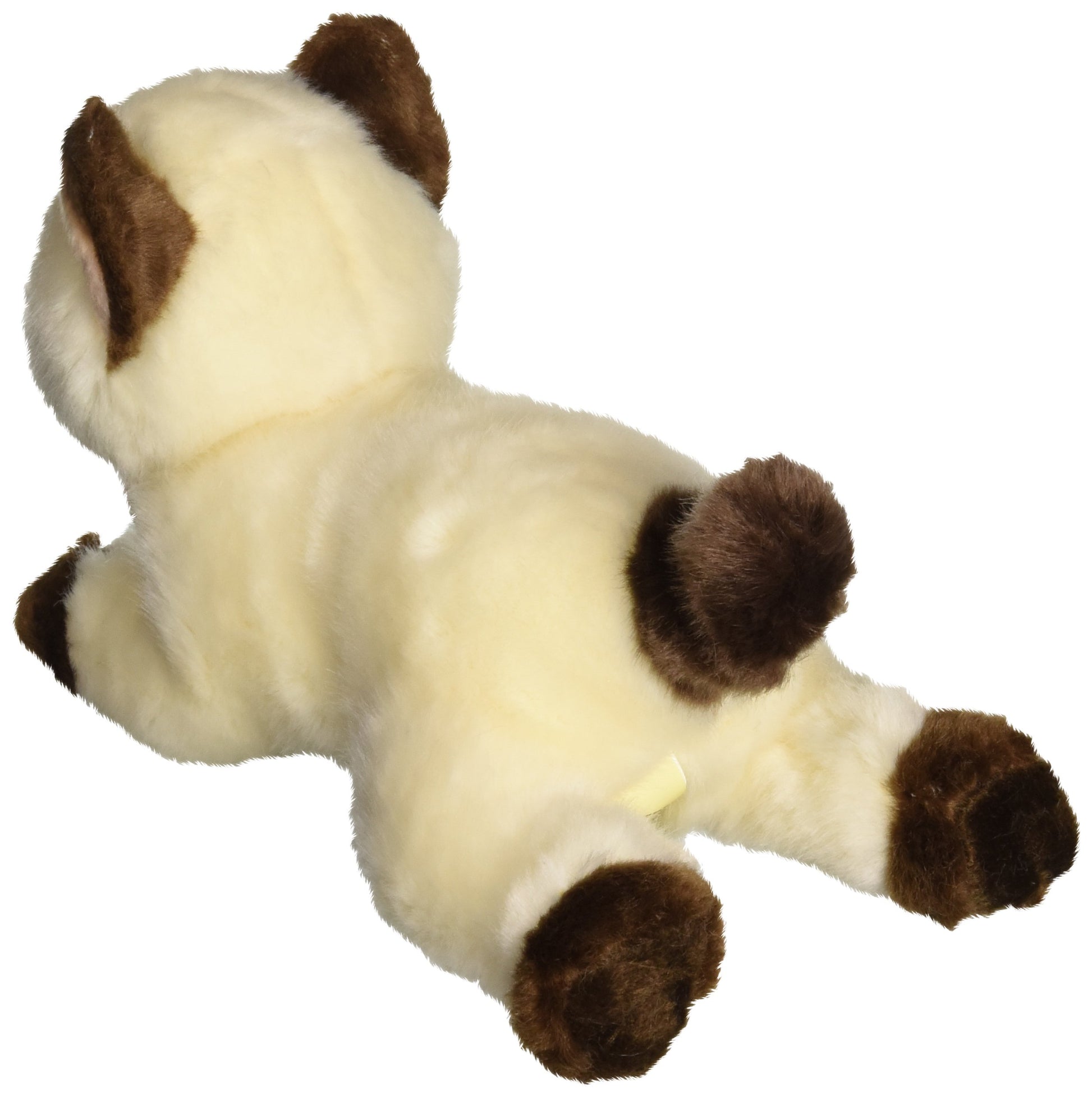 Aurora - Miyoni - Gato siames - 20.32cm.