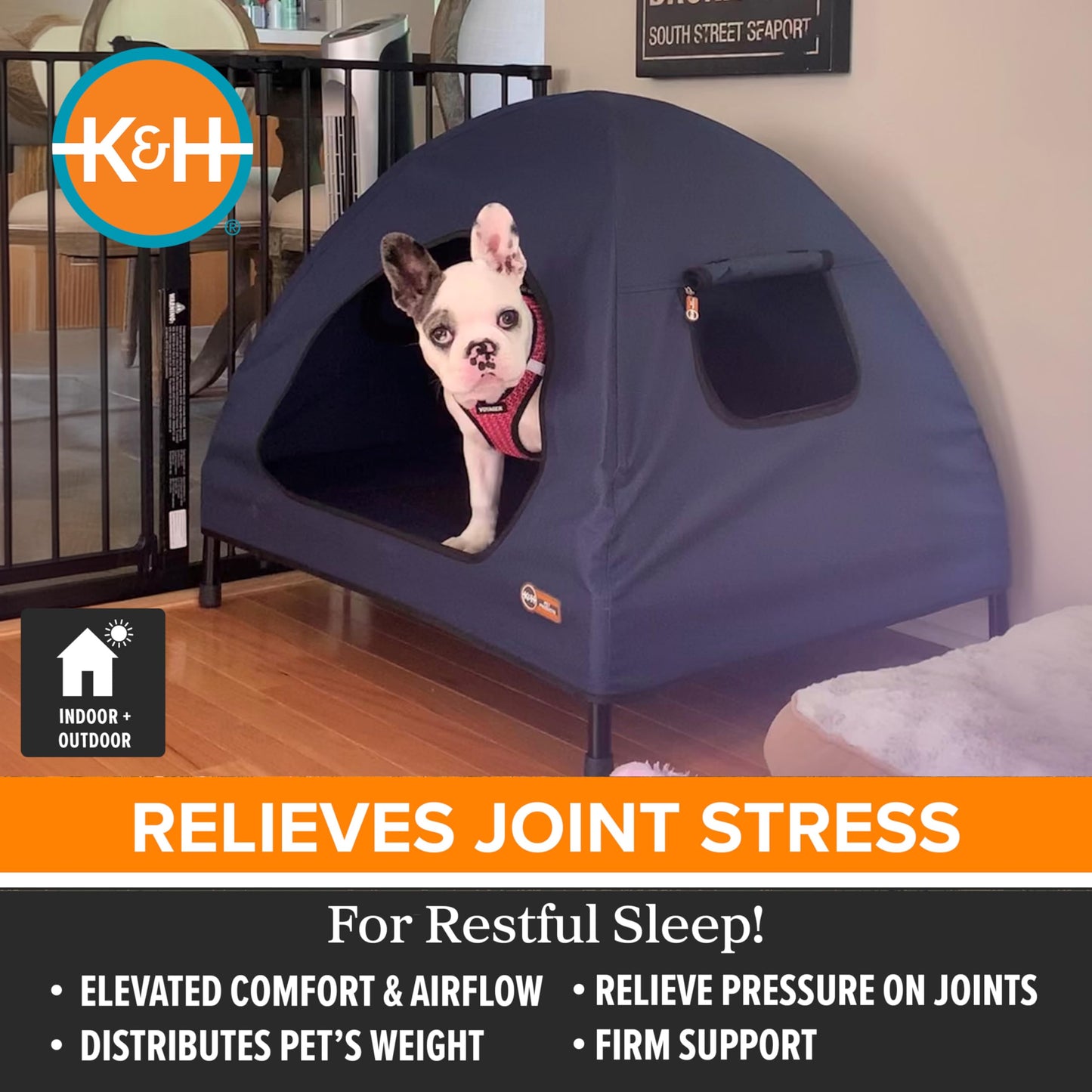 Cama Elevada para Perro K&H Azul Marino con Casa