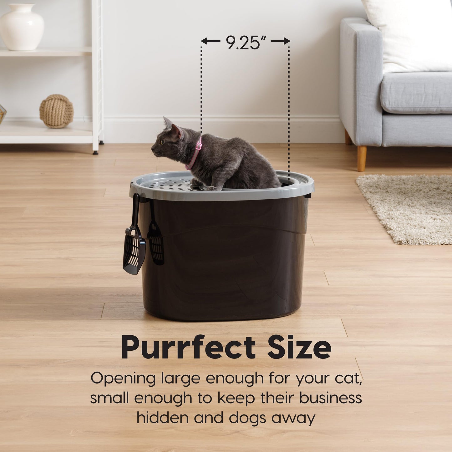 IRIS USA Arenero ovalado para gatos con entrada superior y pala, arenero para gatitos, caja de arena para gatos, grande, Negro/Gris
