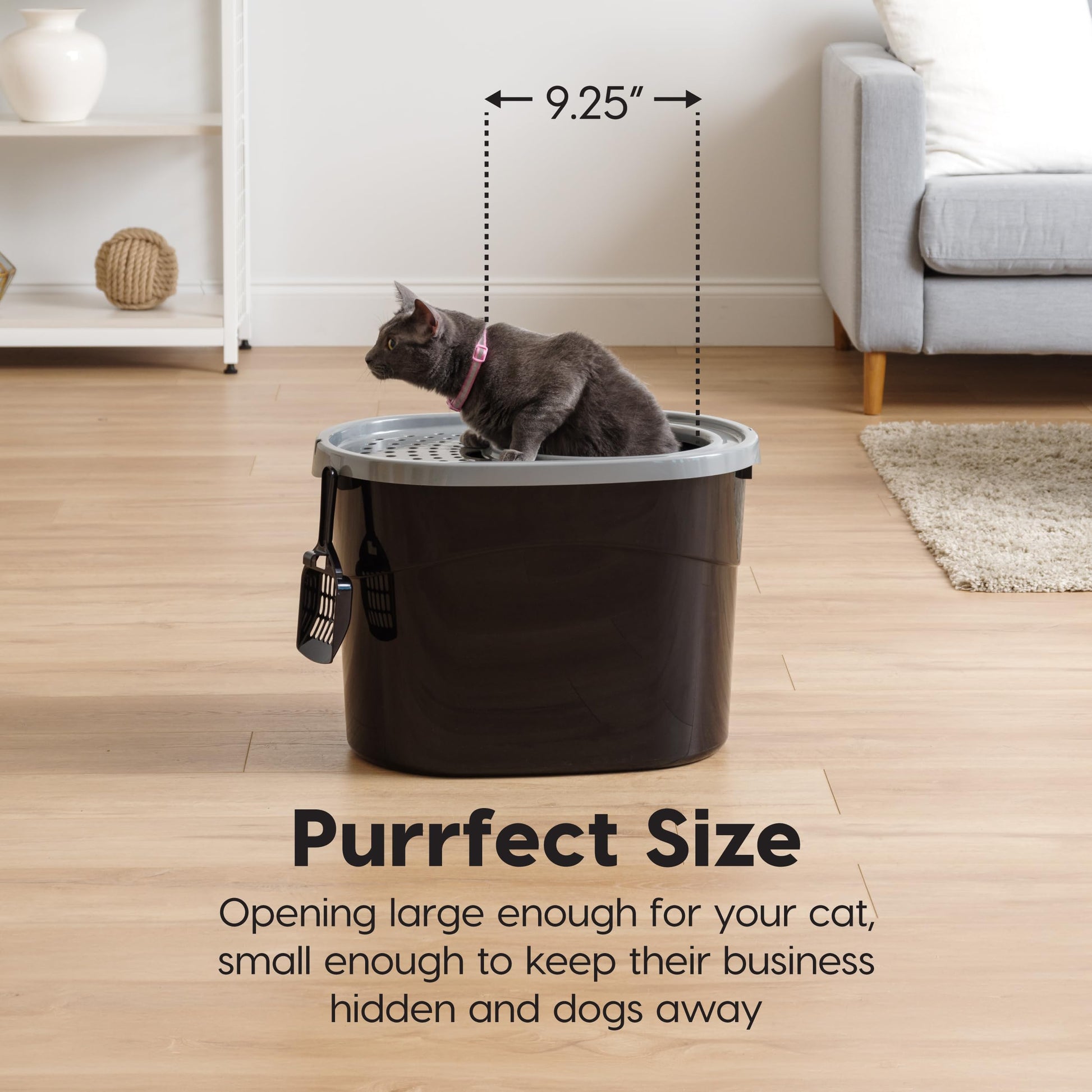 IRIS USA Arenero ovalado para gatos con entrada superior y pala, arenero para gatitos, caja de arena para gatos, grande, Negro/Gris