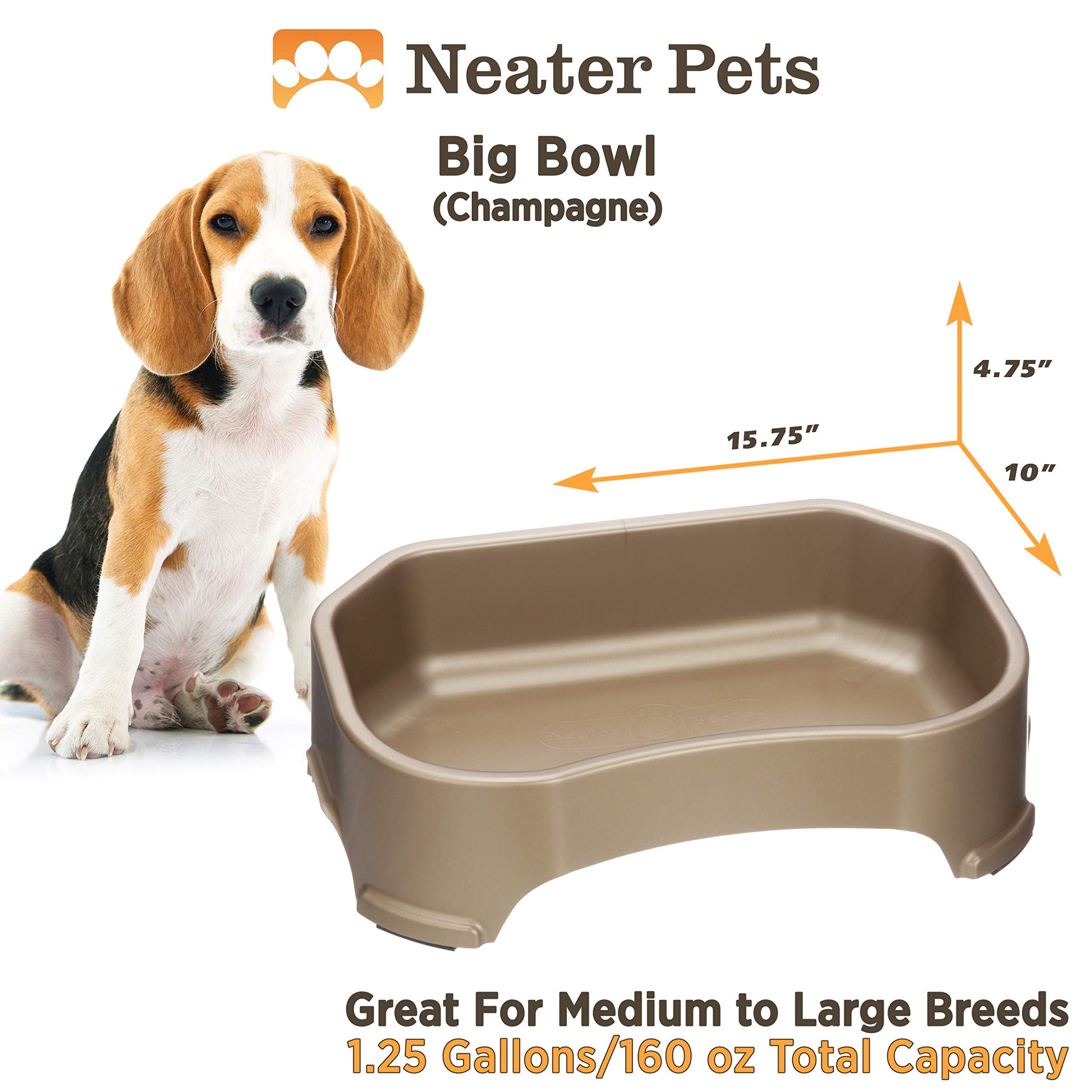 Tazón Grande Neater Pet Brands Champán Extra Grande para Perros