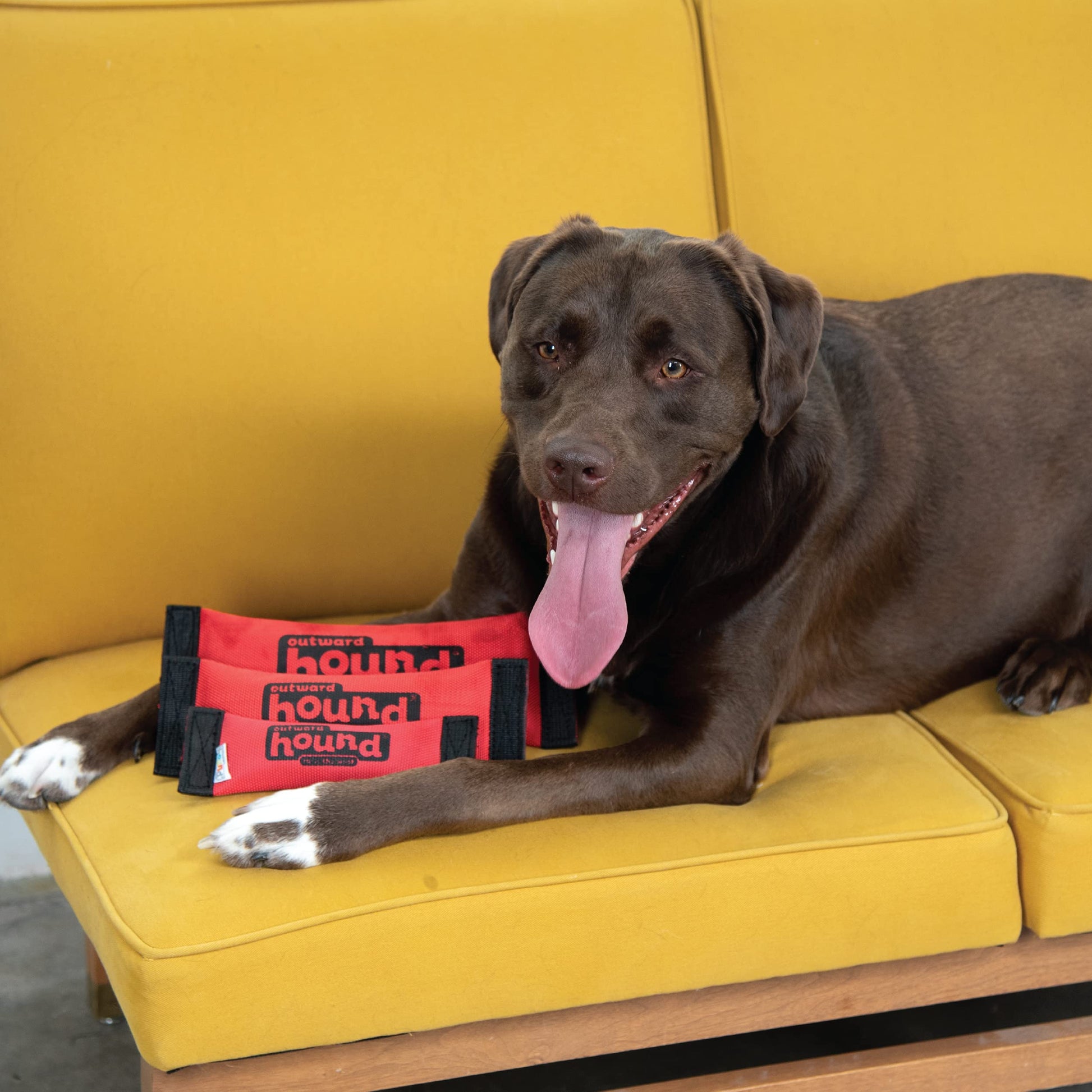 Juguete para Perros Outward Hound Mediano Firehose Fetch