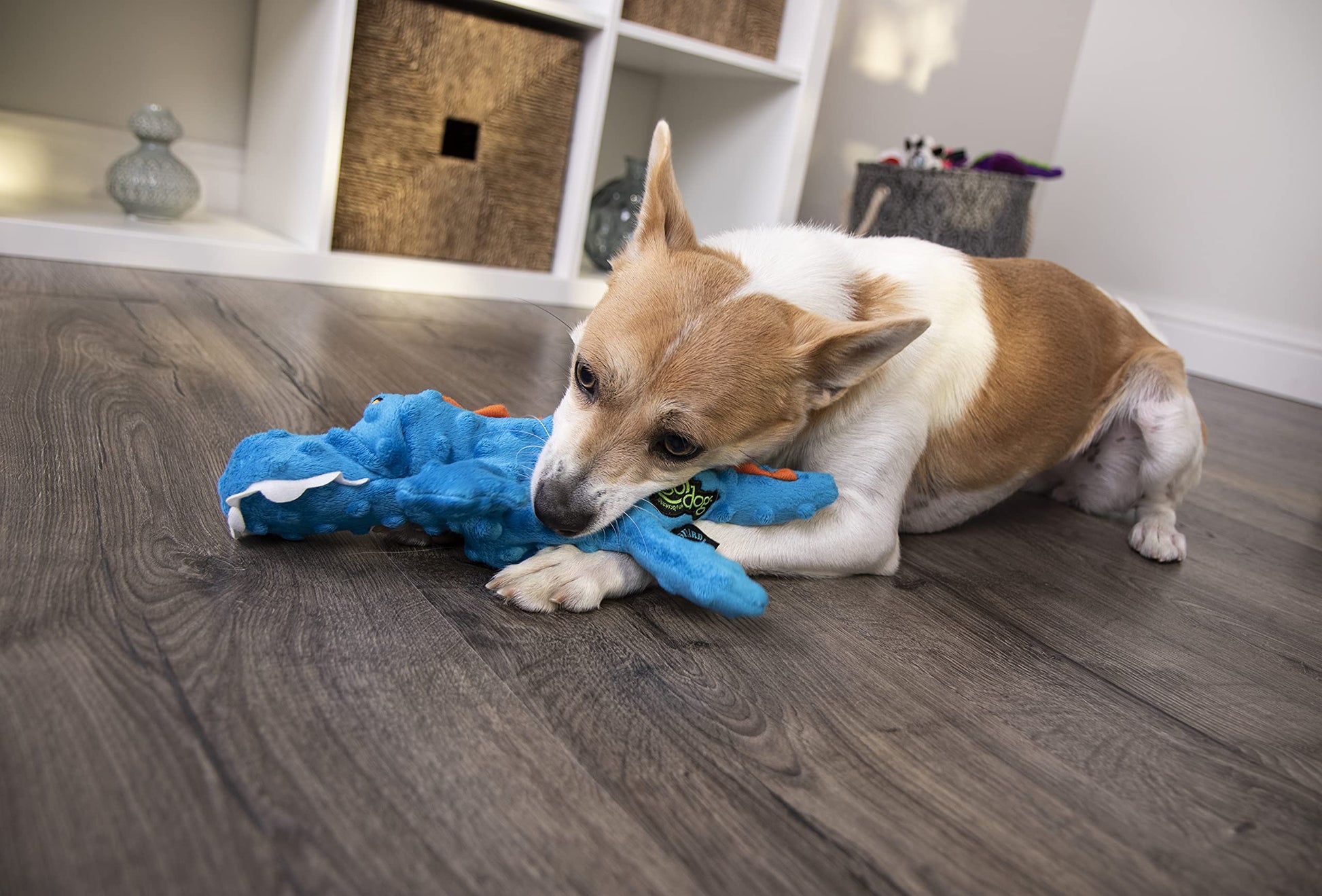 goDog Gators With Chew Guard Technology Tough Plush Dog Toy, Blue, Small