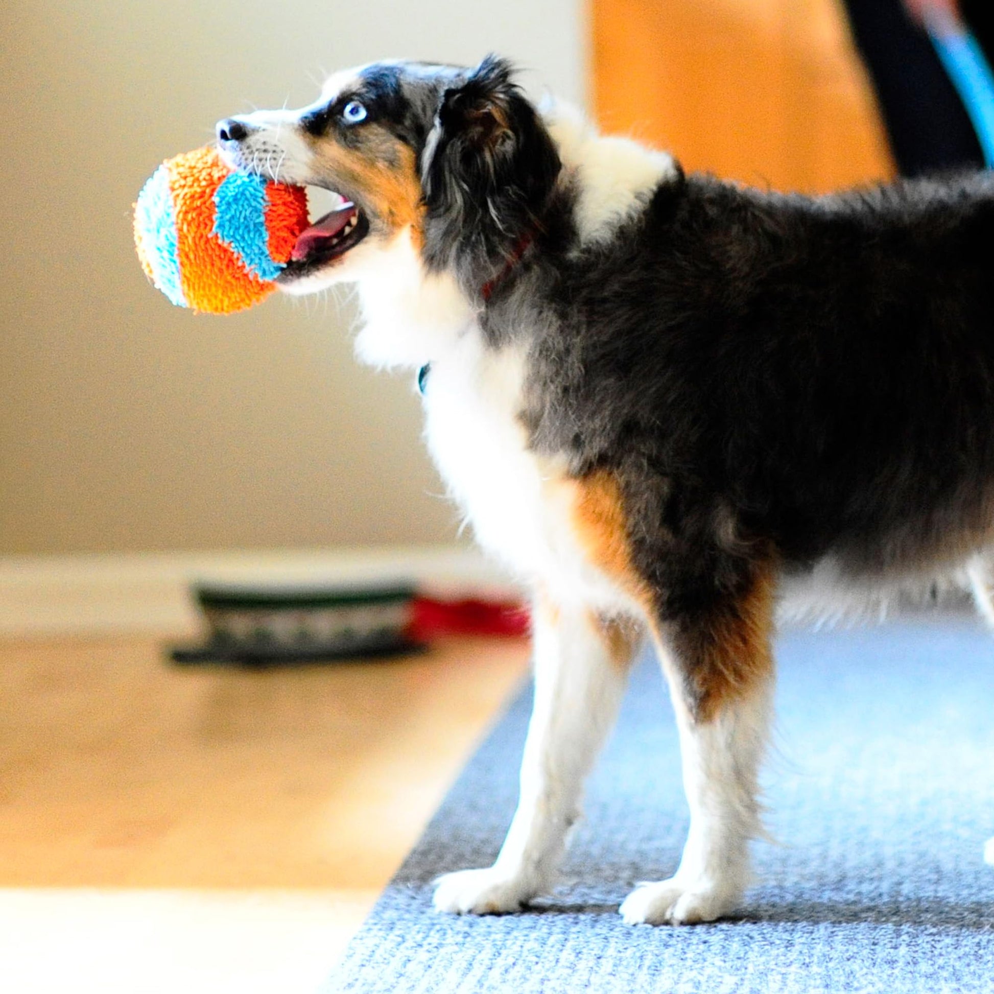 Chuck It Pelota Suave Indoor, Colores Surtidos