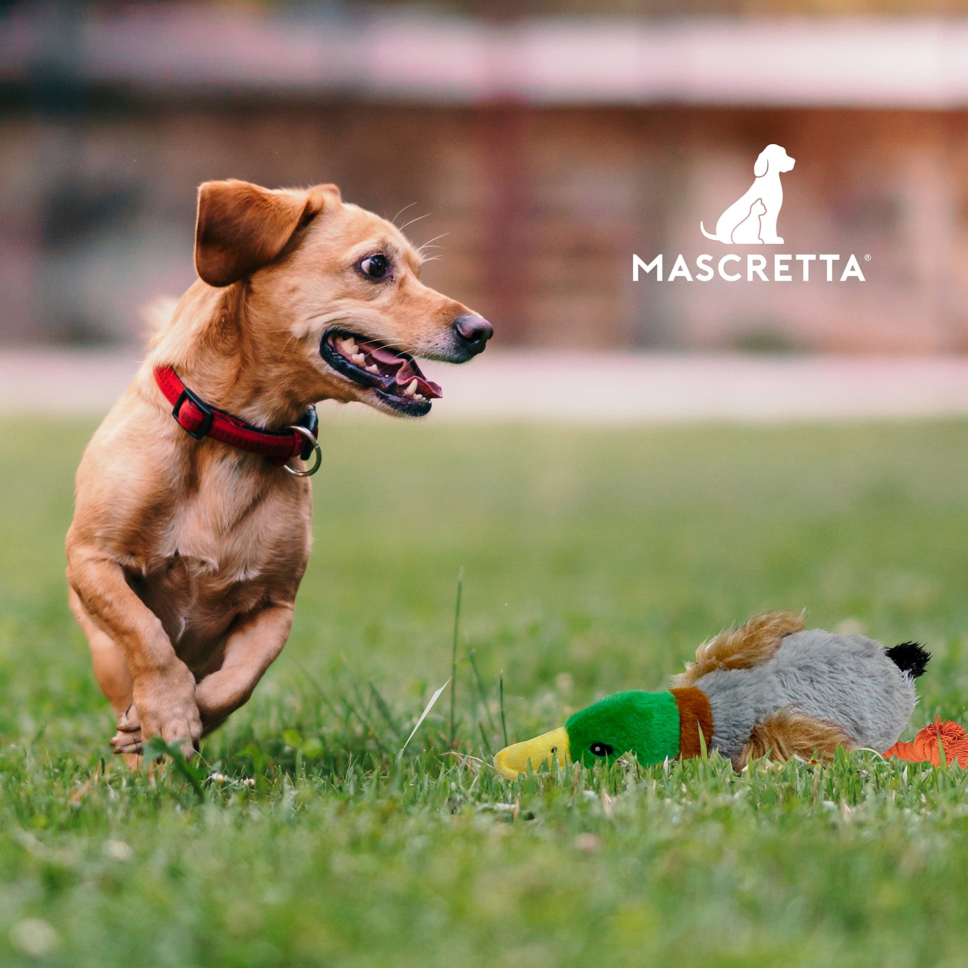 Juguetes para Perro MASCRETTA Pato Suave y Llamativo con Sonido