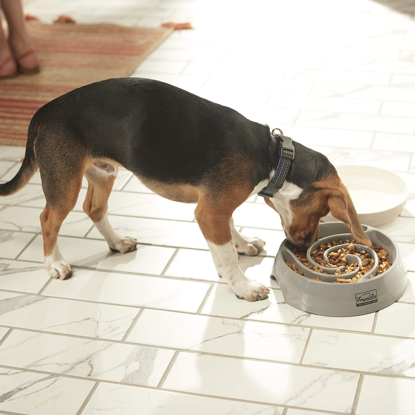 Franklin Pet Supply - Tazón de tornado de alimentación lenta - Tazón para mascotas - Tazón para perros - Comida - Cuenco de agua - Pequeño - Mediano - Cuenco grande para comida para perros - Cachorro - Cuenco para perros de