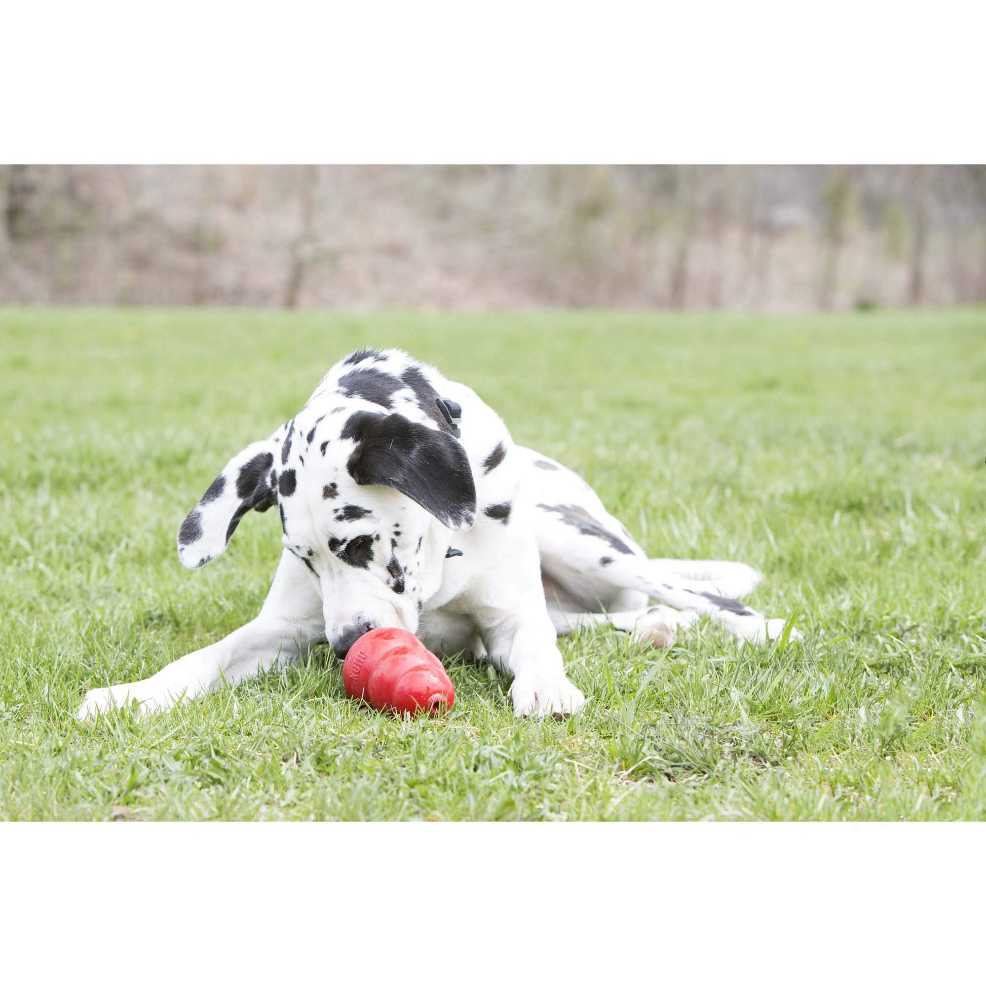 KONG XB1 Crema de Cacahuate para Perros, Multicolor