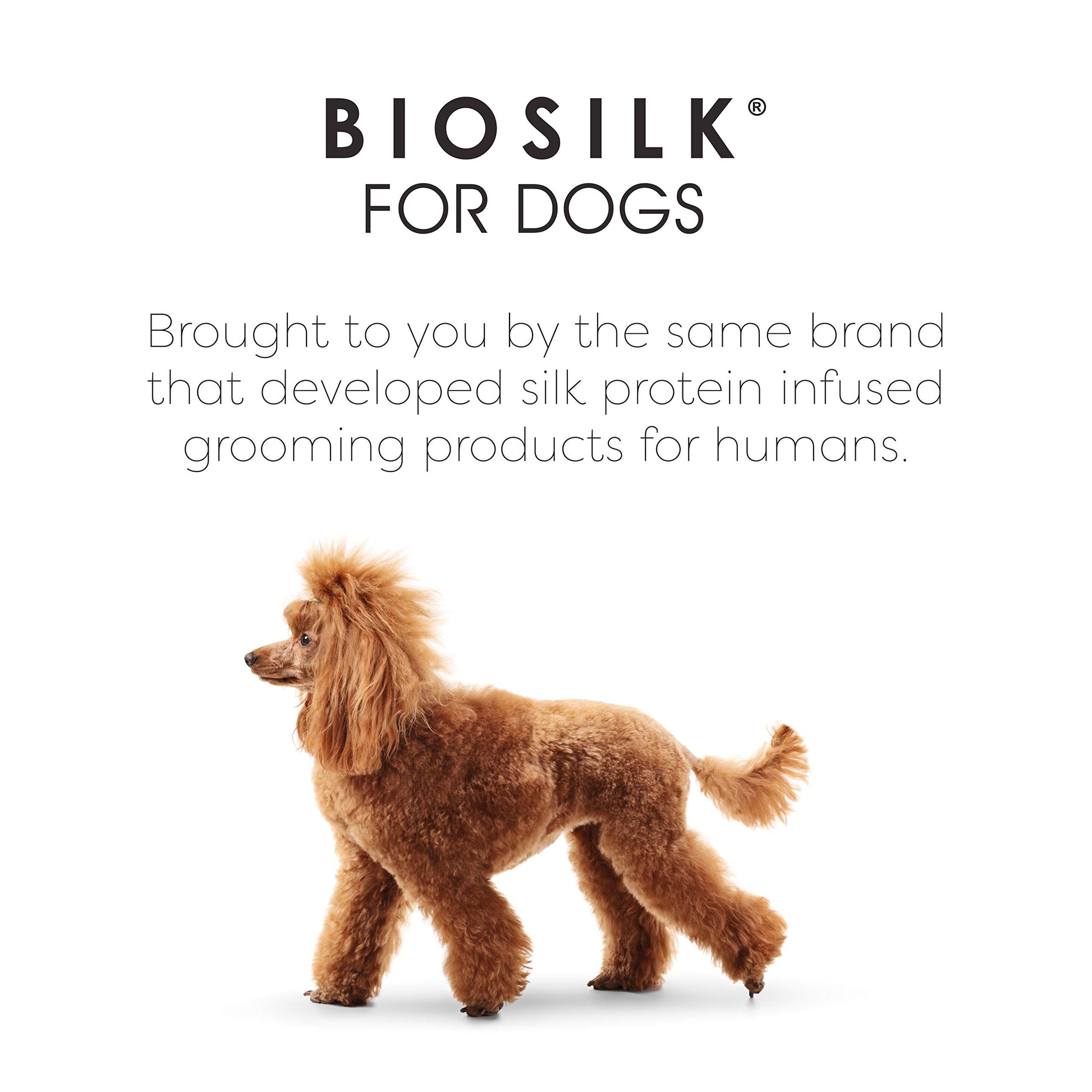 BioSilk Cepillo para mascotas ecológico para desenredar perros en verde menta | Fácil de sostener mango ergonómico cepillo para perros mojado o seco, azul claro (FF12806)