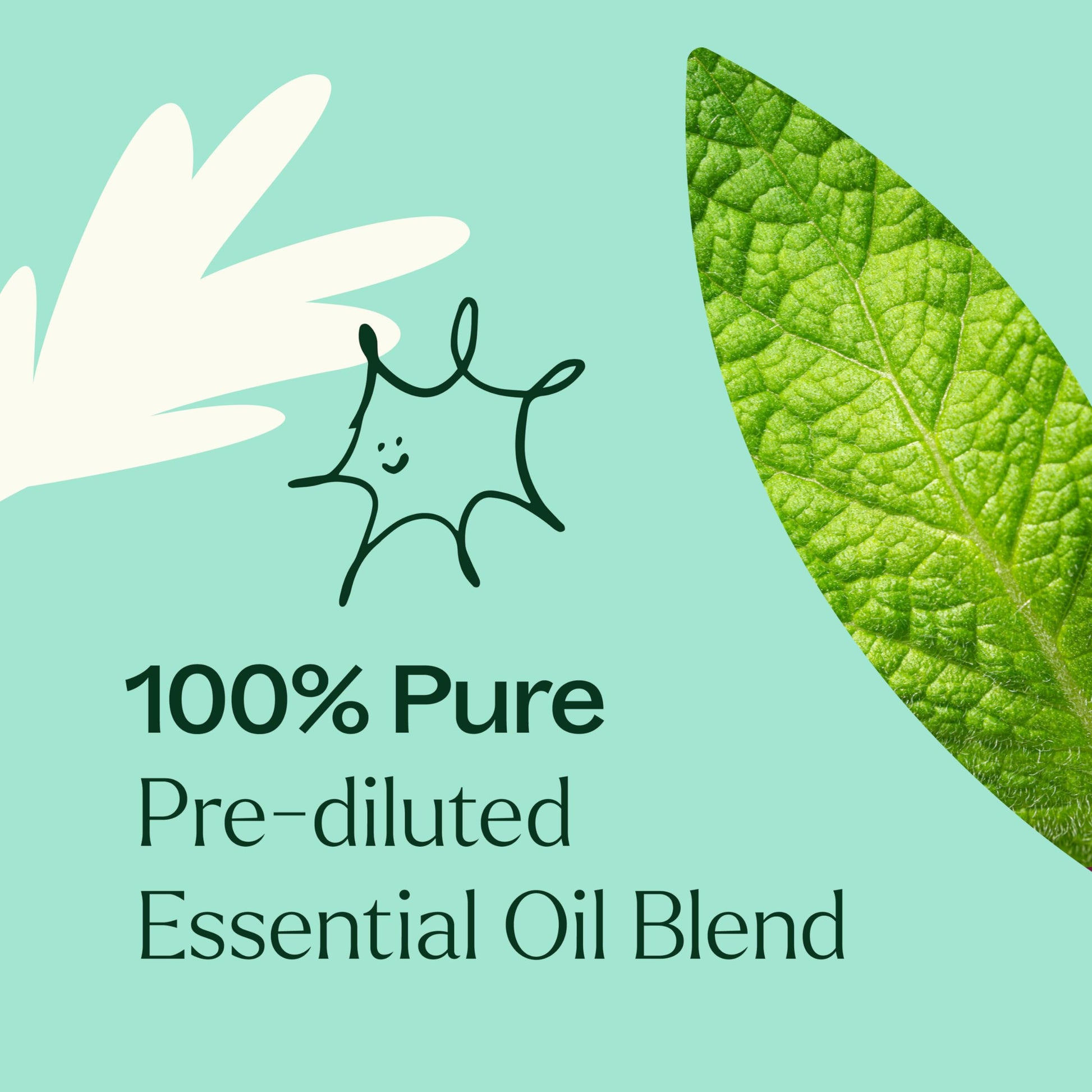 Aceite en Roll on Plant Therapy Tension 10ml