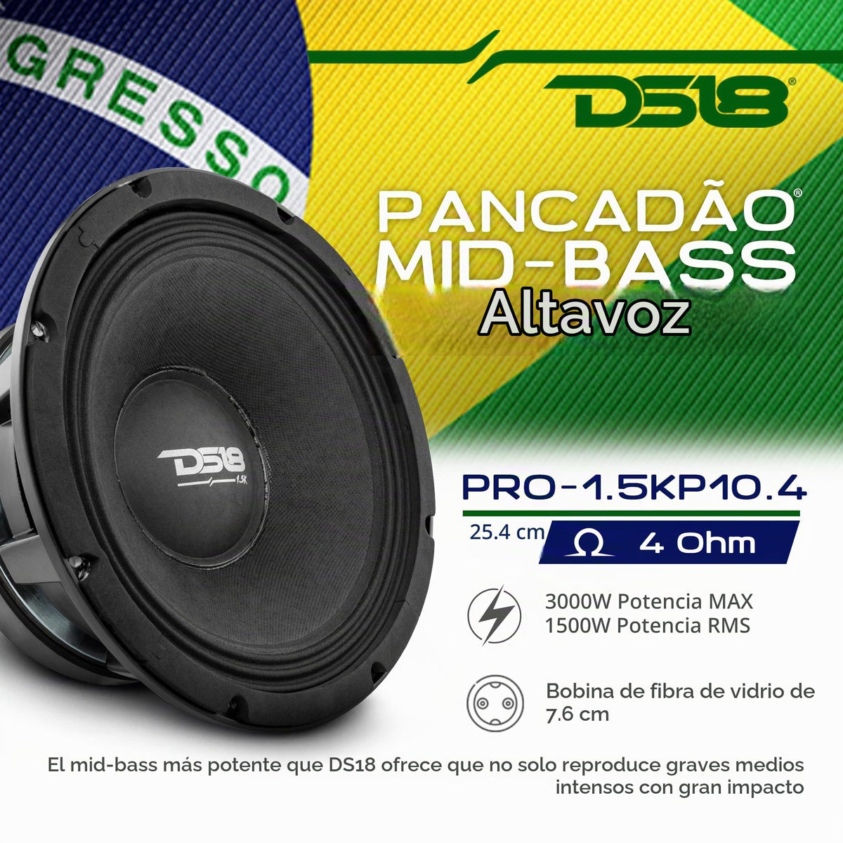 Altavoz de Bajo DS18 10 Pulgadas Potente Audio para Coche Rango Medio Respuesta de Graves