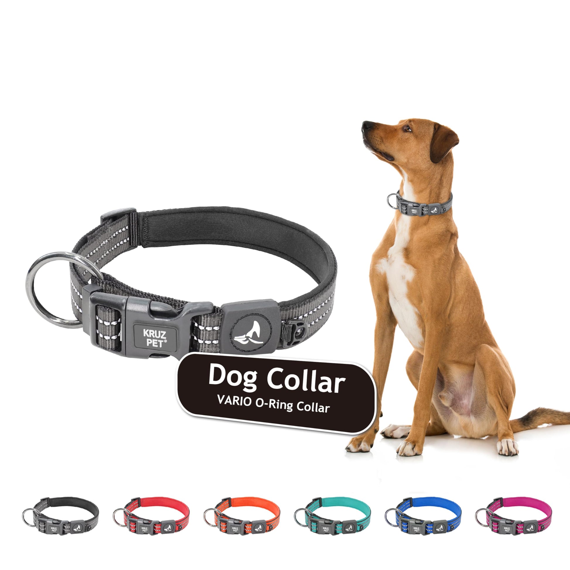 KRUZ PET KZV006-05M - Collar Reflectante para Perros pequeños, medianos y Grandes, 100% Nailon, Ajustable, Junta tórica Resistente, Acolchado de Neopreno Suave y cómodo, Color Gris, Talla M