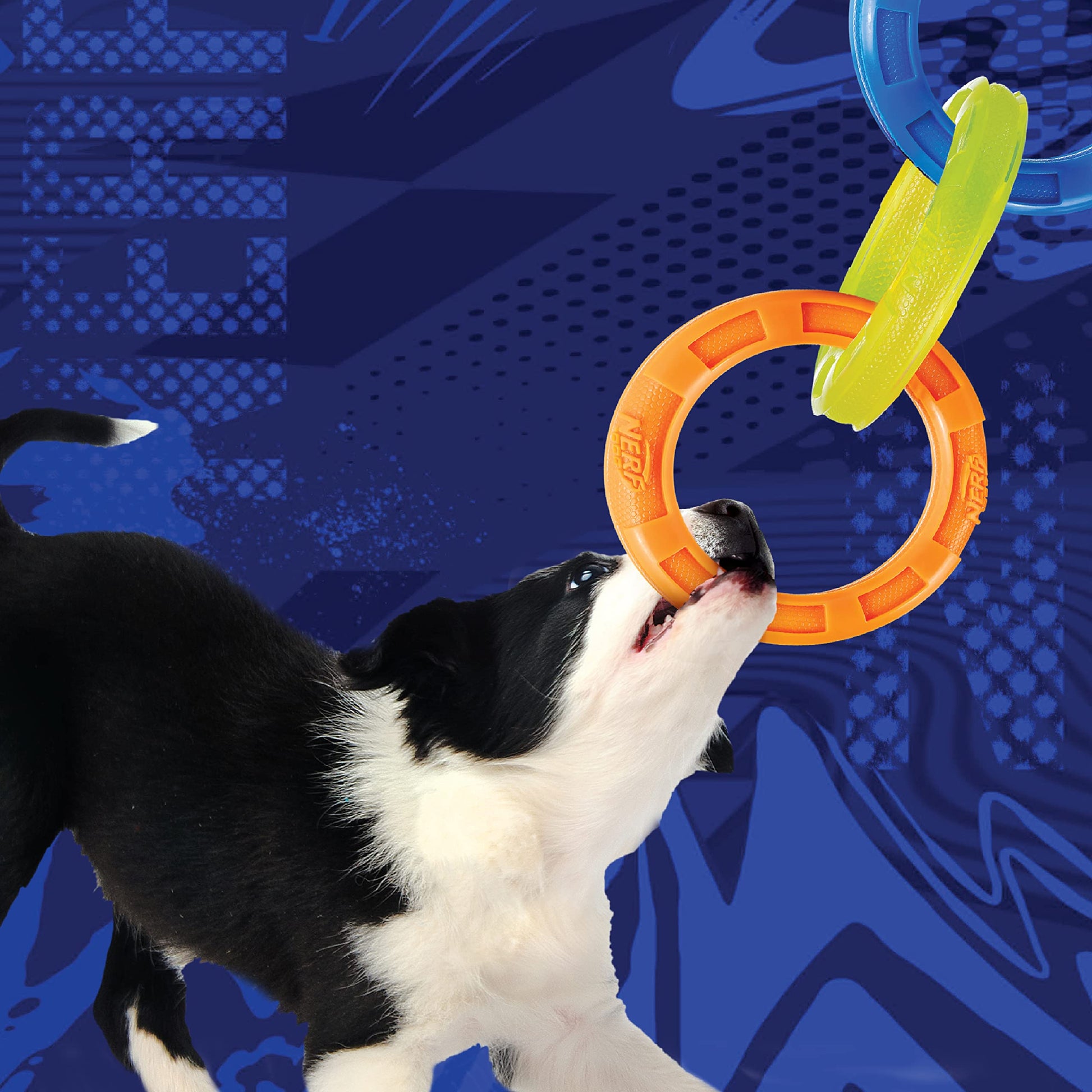 Remolcador de 3 Anillos Nerf Dog TPR