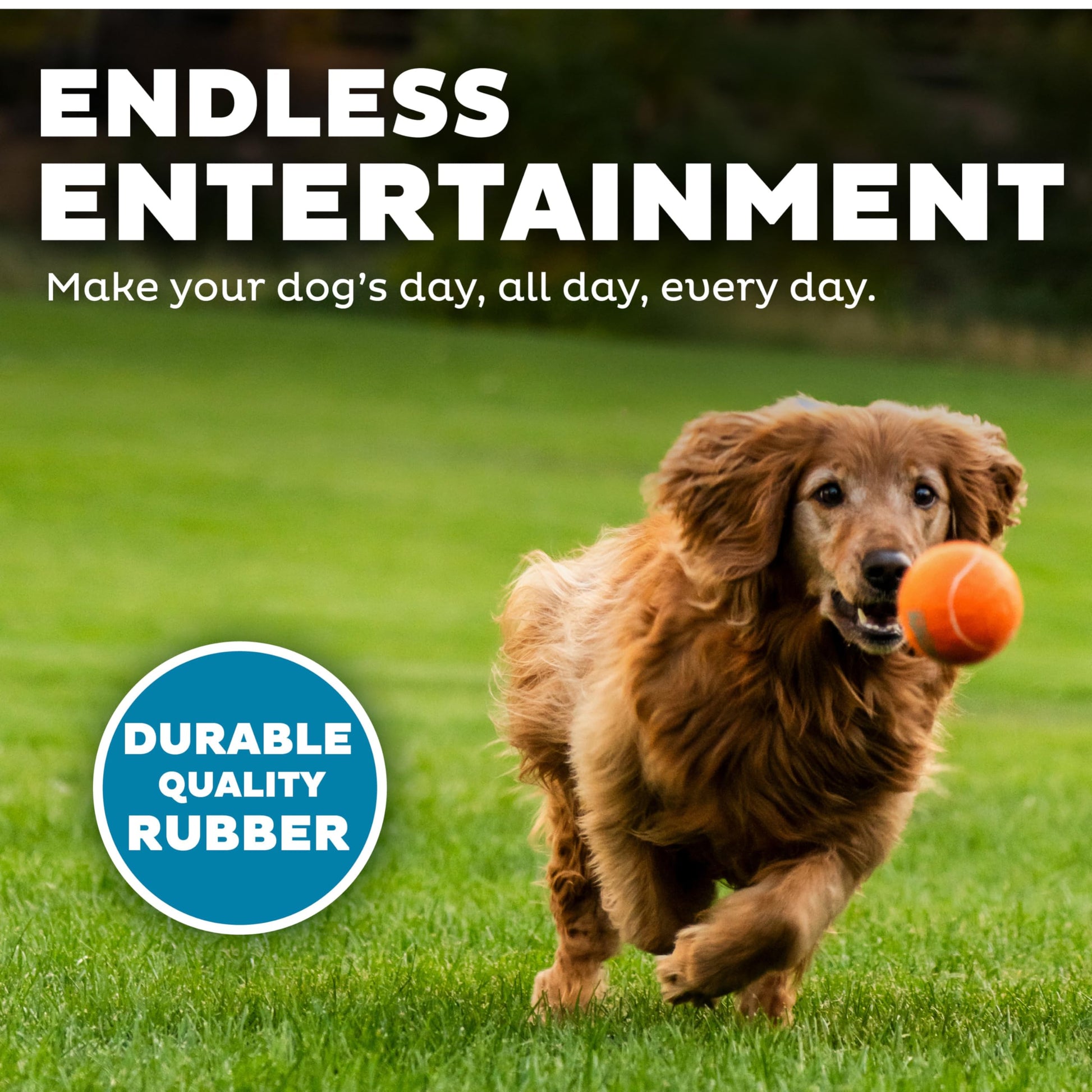 Juguete para Perro Outward Hound Squeaker Ballz Fetch Grande Pack de 4