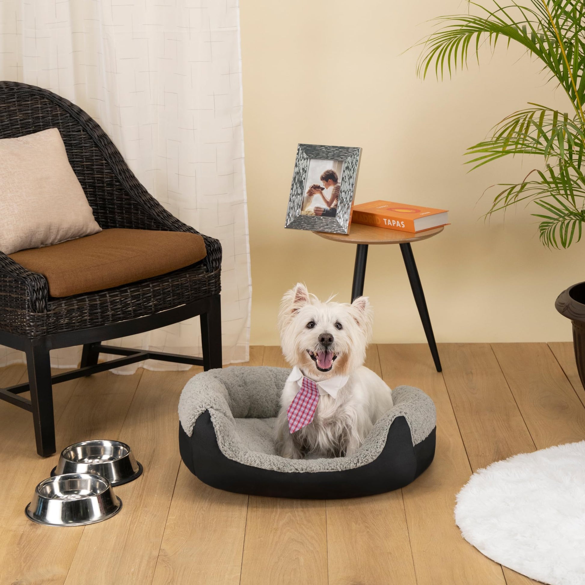 Cama Ortopédica Para Perros Wippo De Terciopelo Cosida A