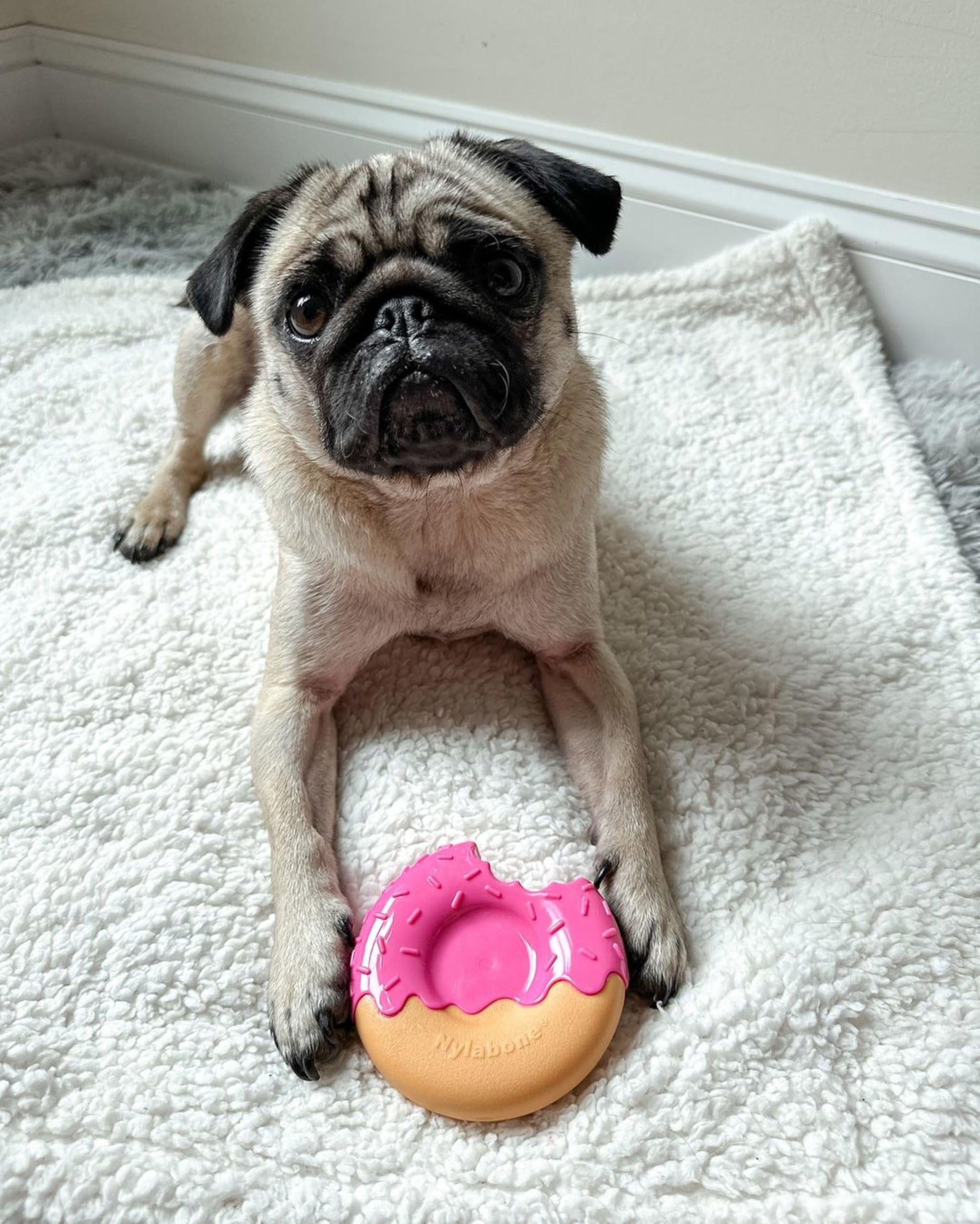 Juguete para Perros Nylabone Sabor Esmaltado masticables para Masticadores Agresivos