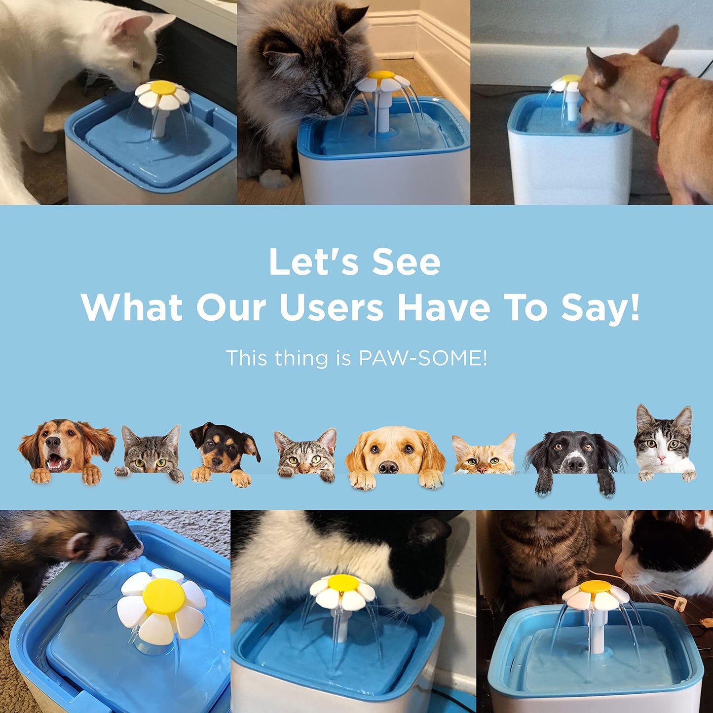 Ciays Fuente de Agua para Gatos, Fuente de Agua automática para Mascotas, dispensador de Agua para Perros de 84 onzas/2.5 litros con 3 filtros de Repuesto para Gatos, Perros, múltiples Mascotas, Azul