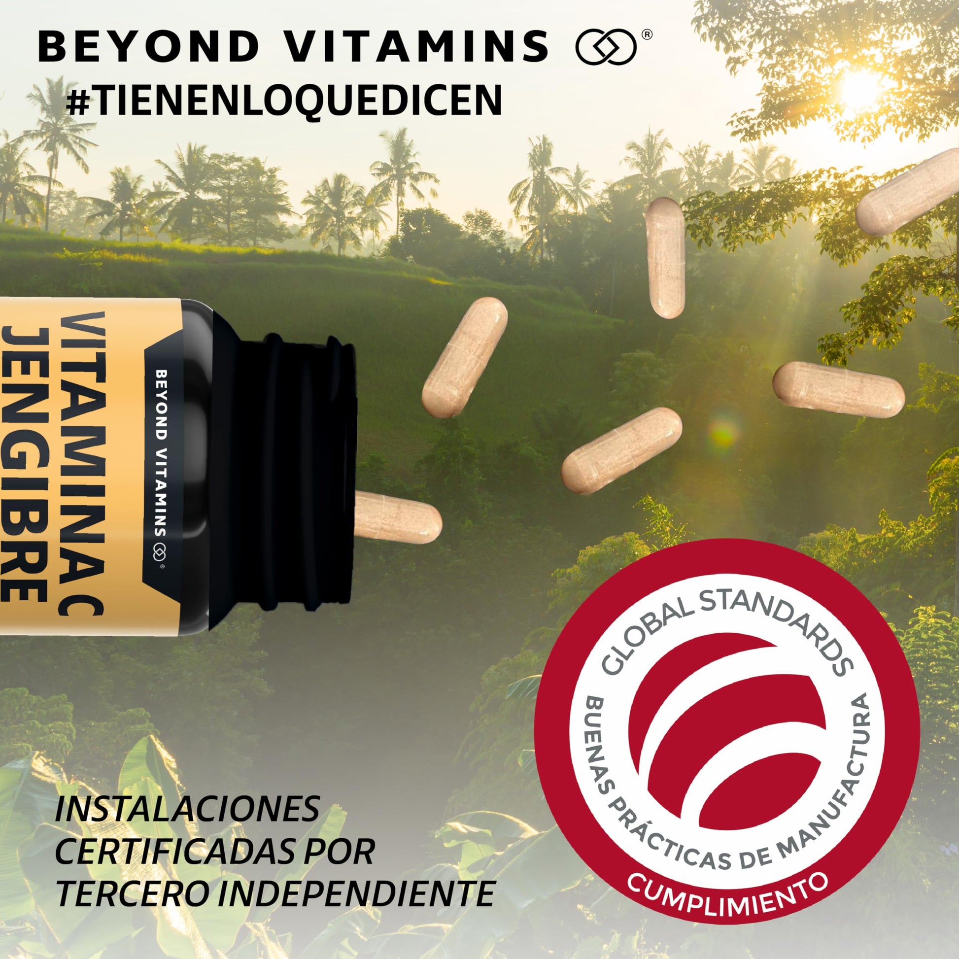 Beyond Vitamins | Vitamina C potenciada con antioxidantes y anti-inflamatorios, Jengibre, Equinácea, Ajo, Orégano, Zinc y Vitamina D3, Cápsulas veganas (60 Cápsulas)
