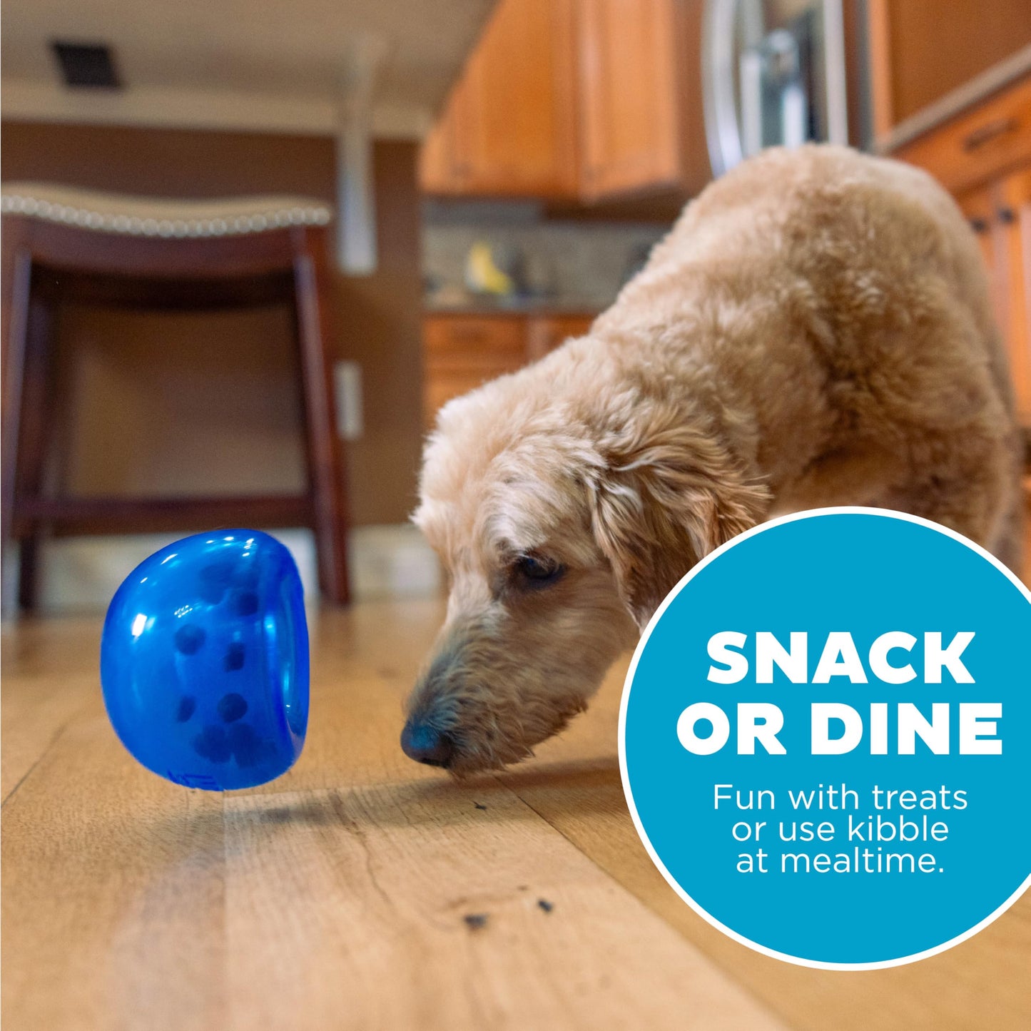 Juguete Interactivo Planet Dog Orbee-Tuff Azul Real dispensador pequeño para Perro