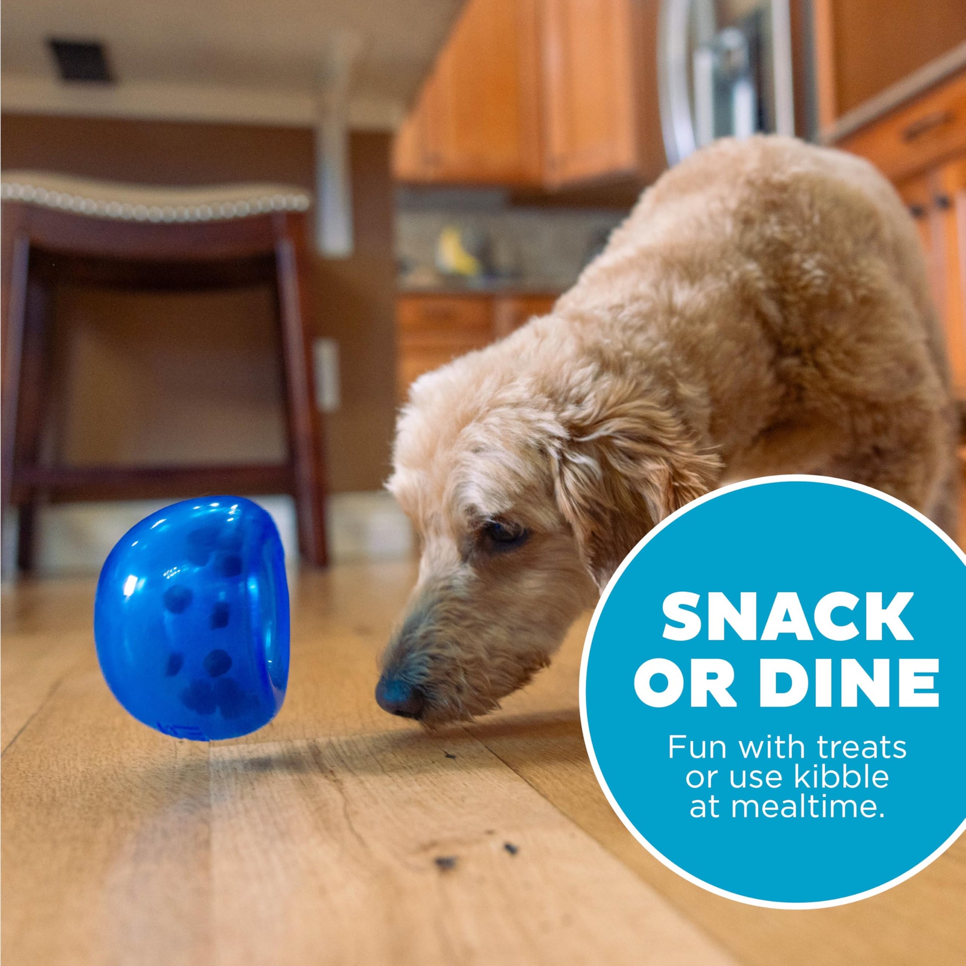 Juguete Interactivo Planet Dog Orbee-Tuff Azul Real dispensador pequeño para Perro