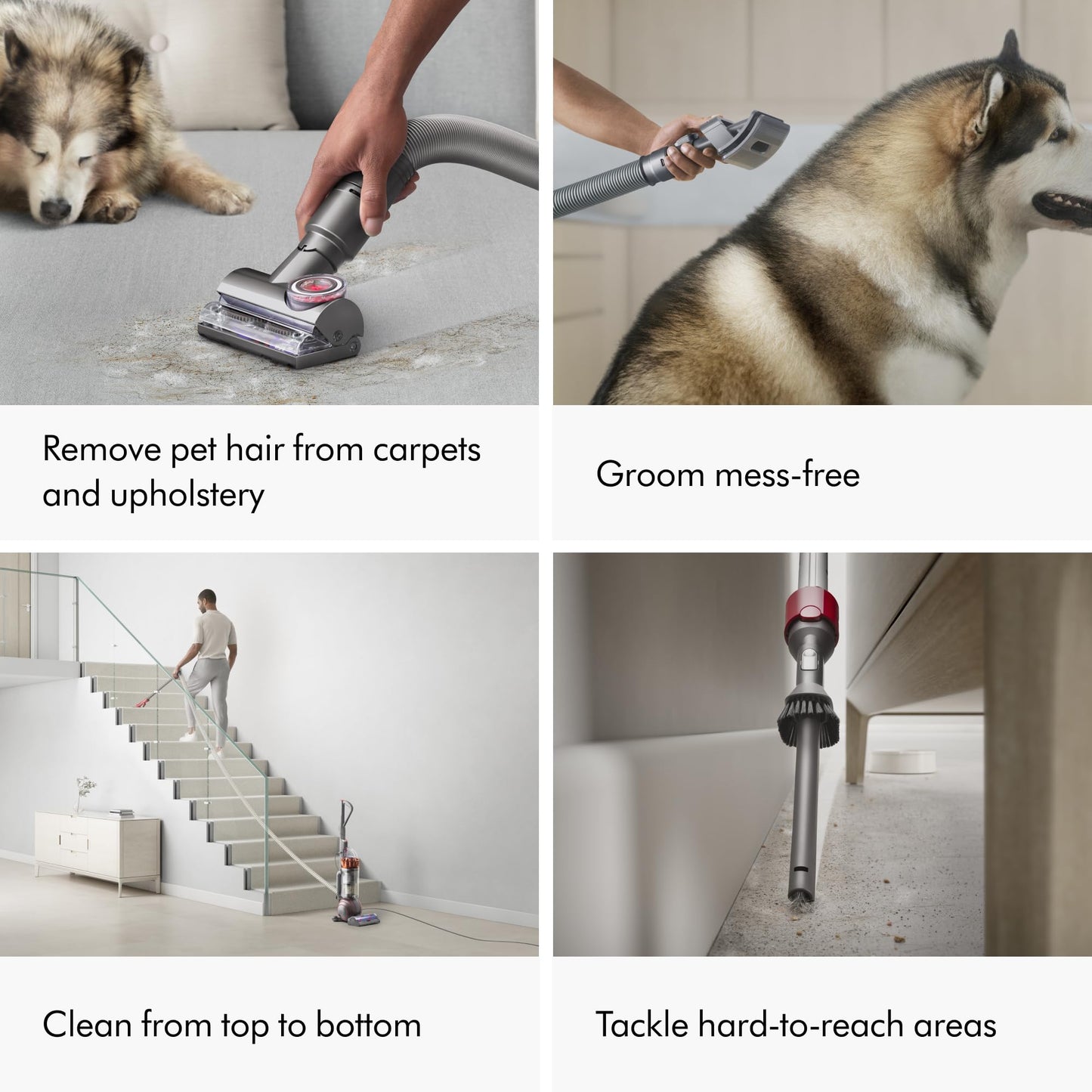 Dyson Ball Animal 3 Aspiradora Vertical Extra