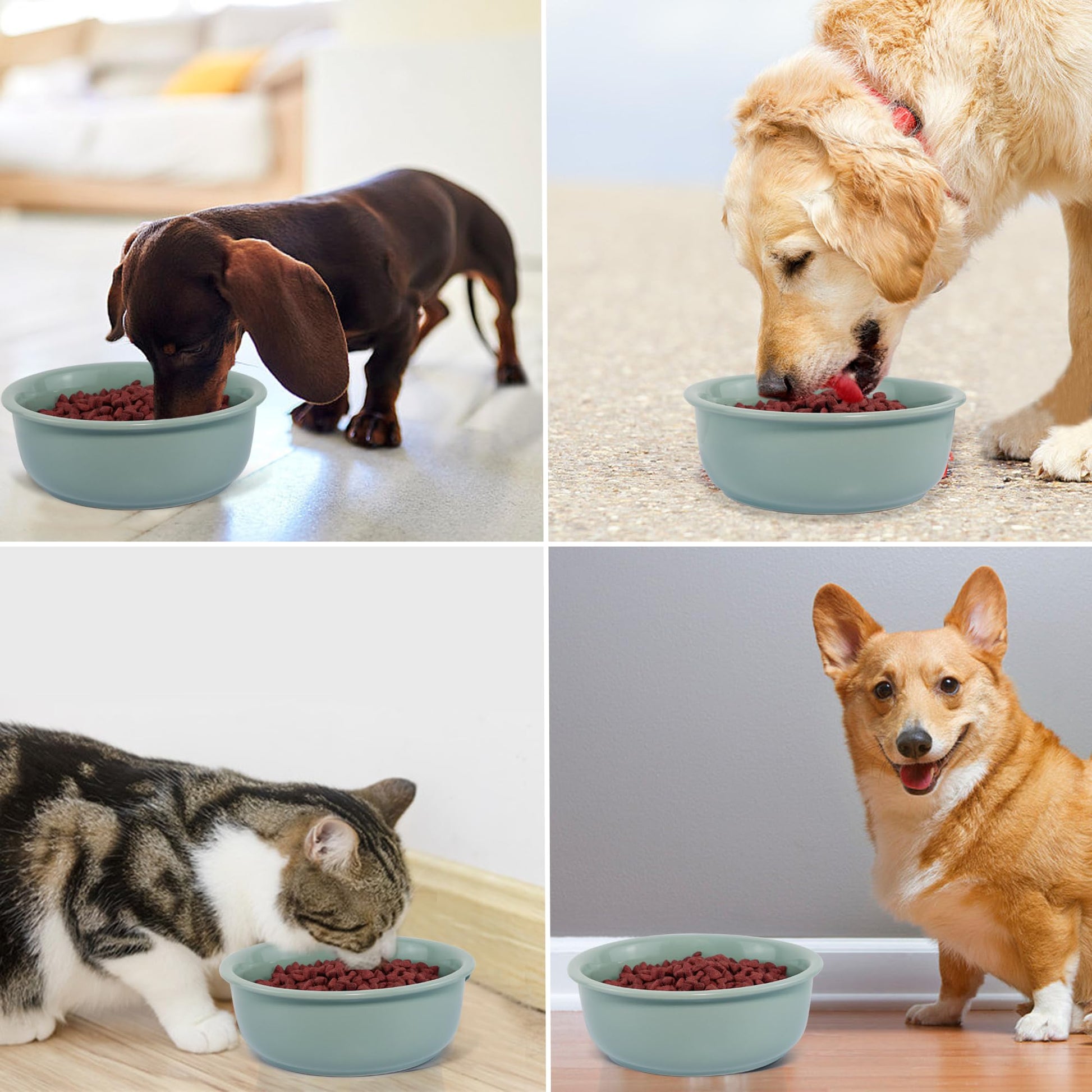Cuencos de cerámica para perros, platos antideslizantes para perros y gatos pequeños, medianos y pequeños, cuencos de porcelana duradera para perros y agua (28 onzas, verde claro)