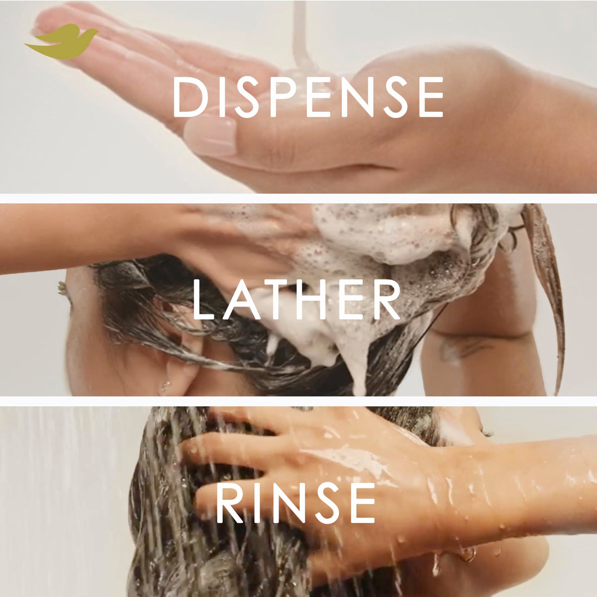 Dove Intensive Repair Regimen Pack