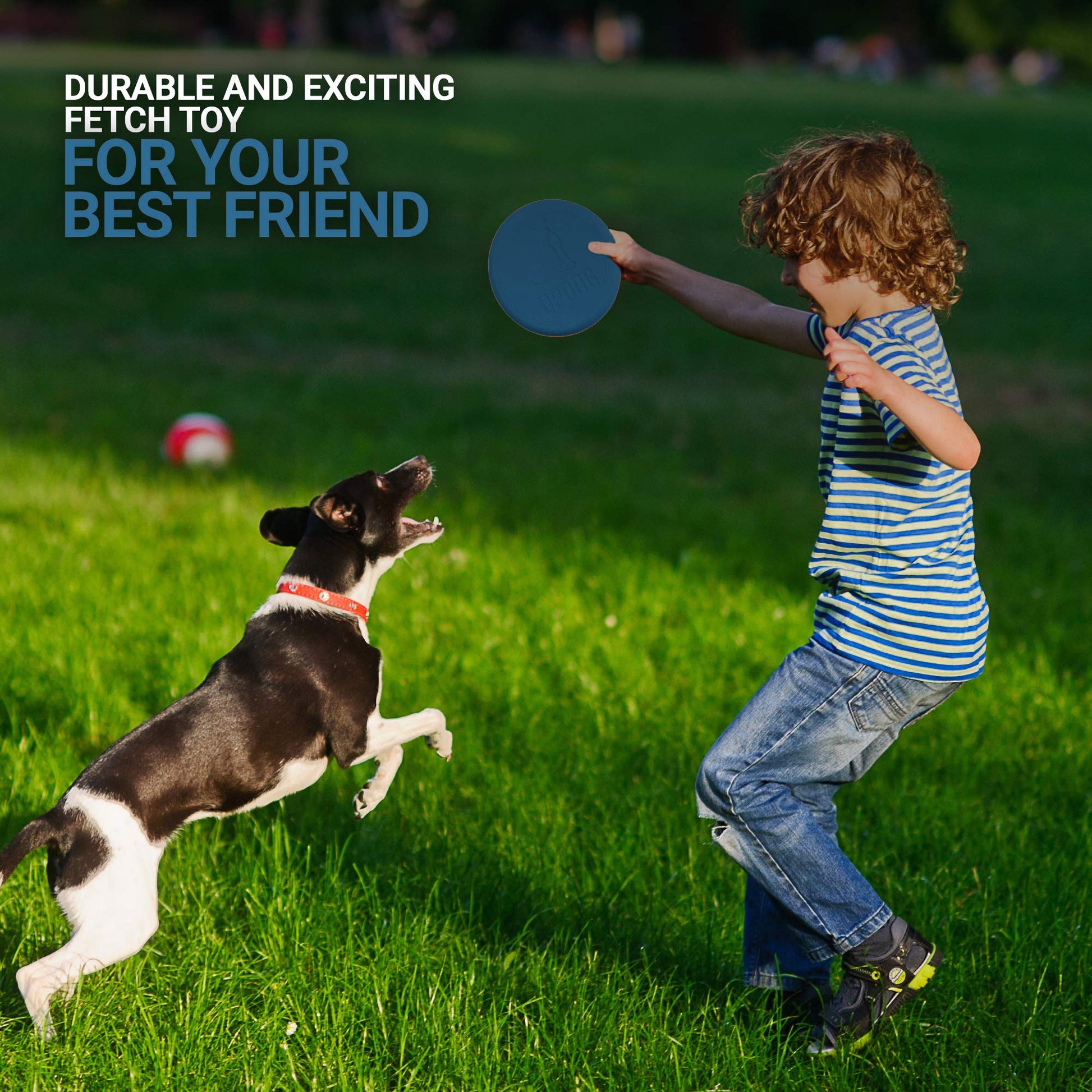 Frisbee para perros, fabricado en Estados Unidos, disco volador pequeño de 15,2 cm para perros (azul)