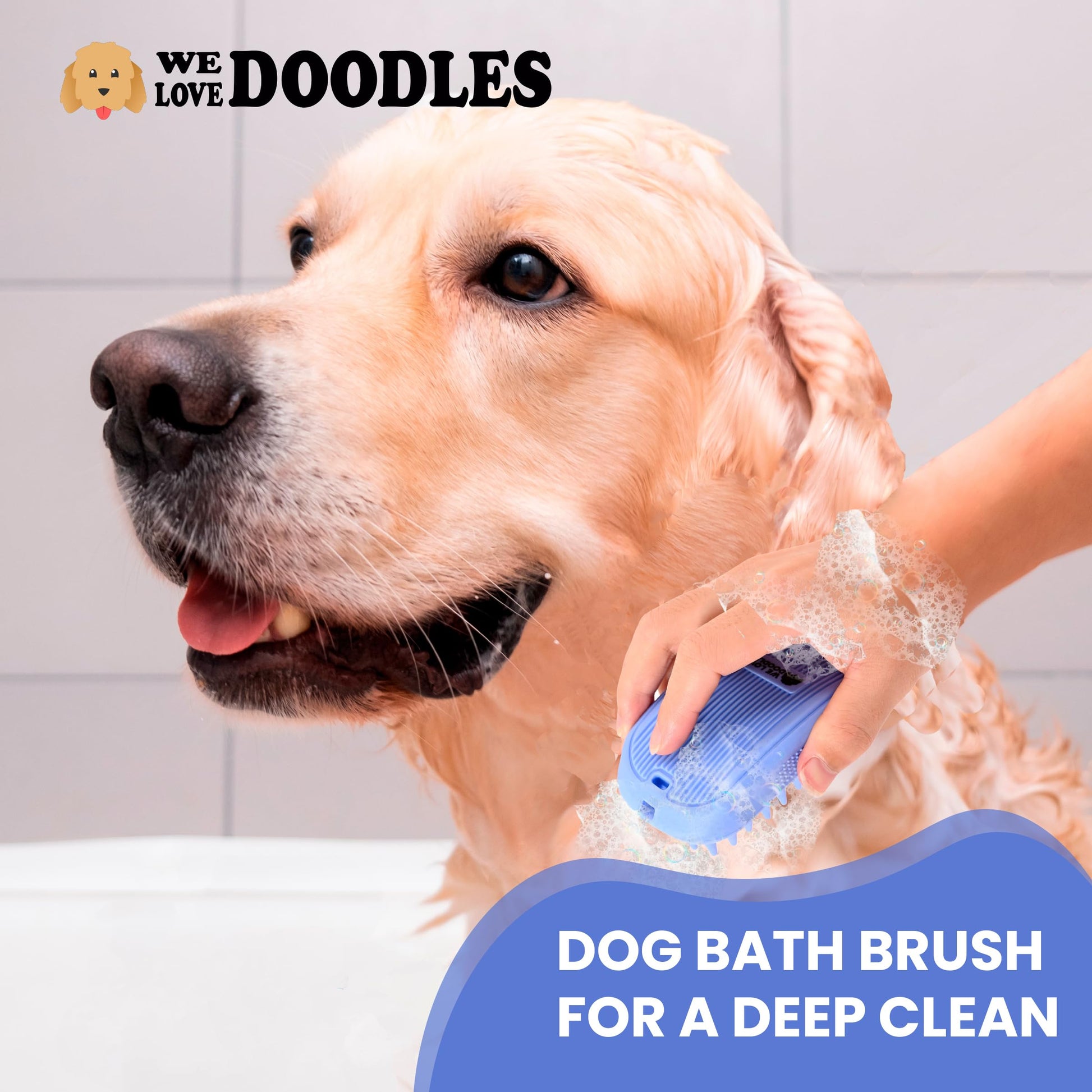 Cepillo De Baño We Love Doodles Azul Para Aseo Y Masaje De Mascotas Con Alfileres Largos