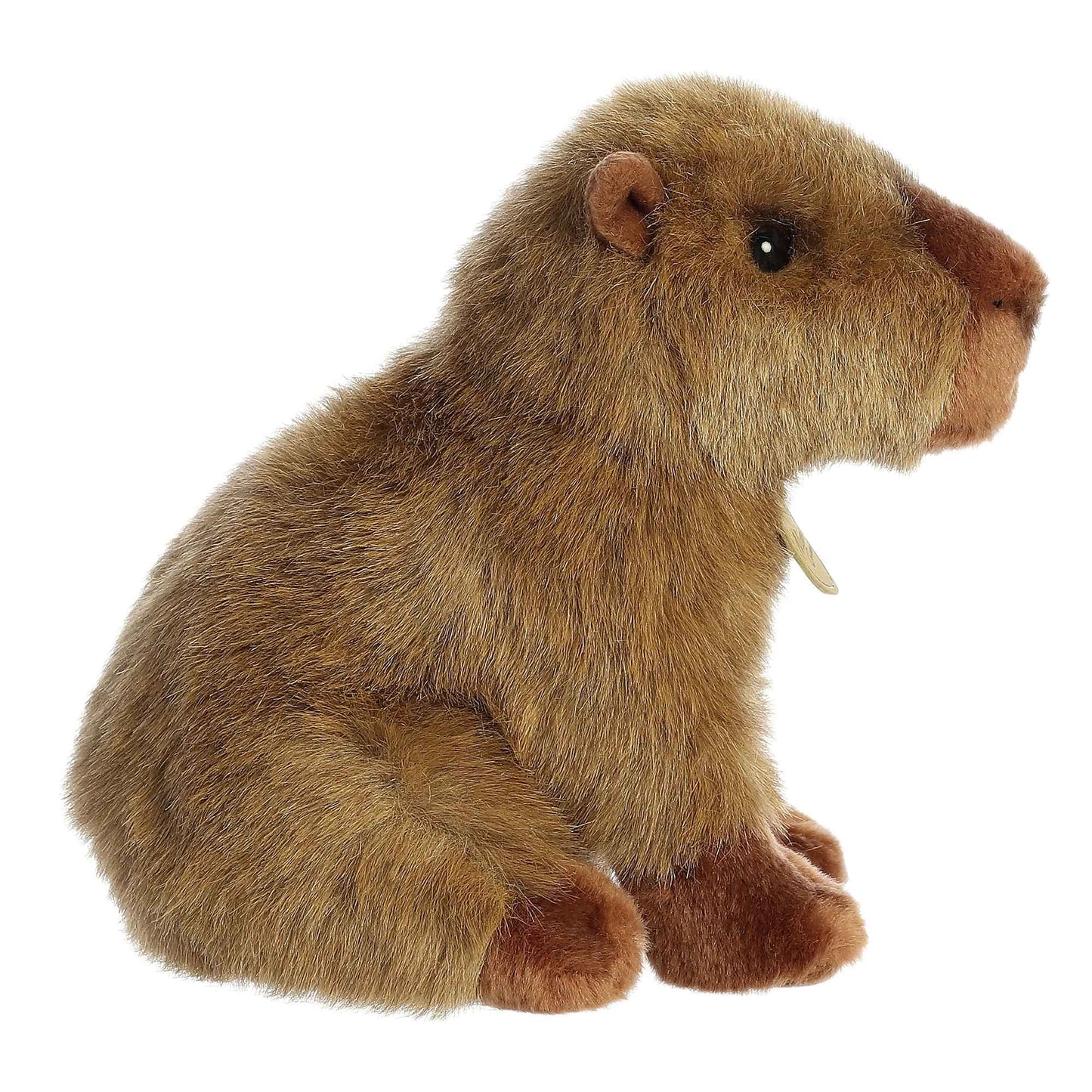 Capibara Aurora Miyoni 22.86cm