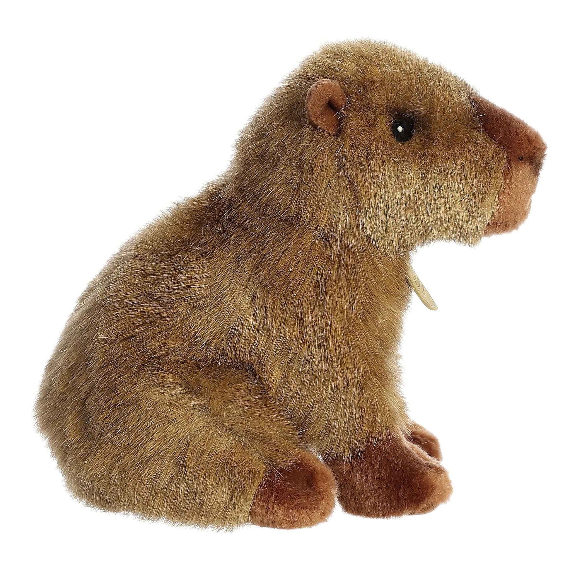 Capibara Aurora Miyoni 22.86cm