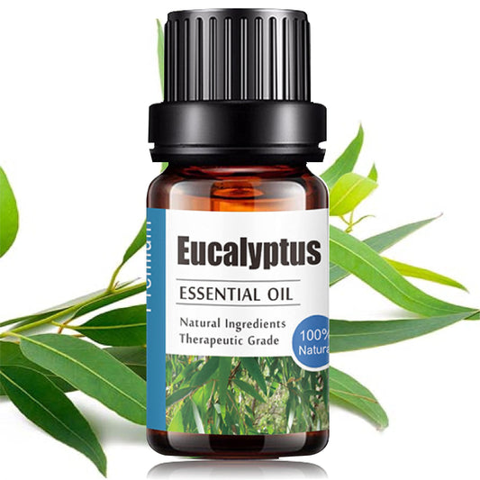 Aceite Esencial de Eucalipto UVa Natural 10 ML Aromaterapia para Difusores y Humidificadores con Caja de Regalo