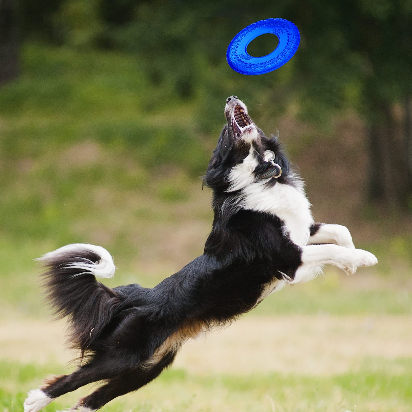 Disco Volador Nerf Dog Azul Translúcido Mejorado de 10 Pulgadas
