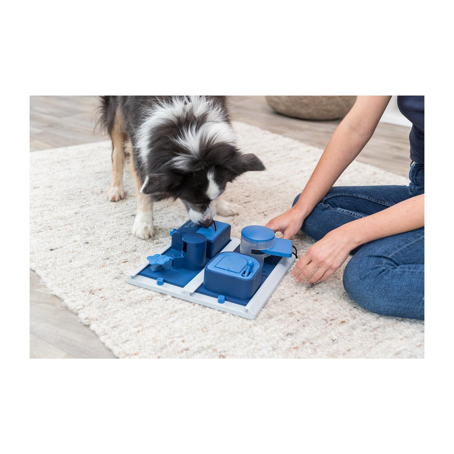 Juego de Estrategia Poker Box 2 Trixie para Perro