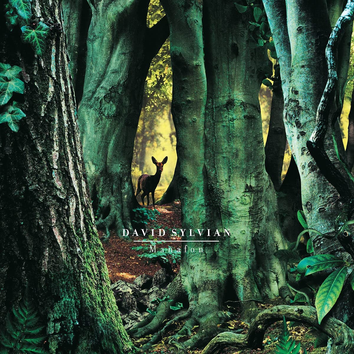 Manafon (Vinyl)