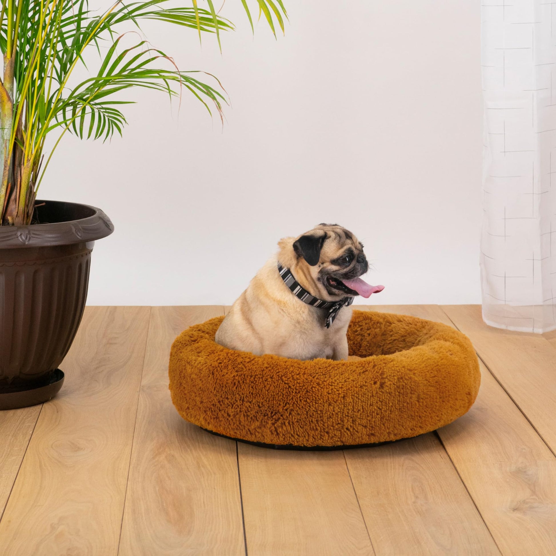 Cama para Perro Hills Beige Tipo Dona Anti Estrés Small
