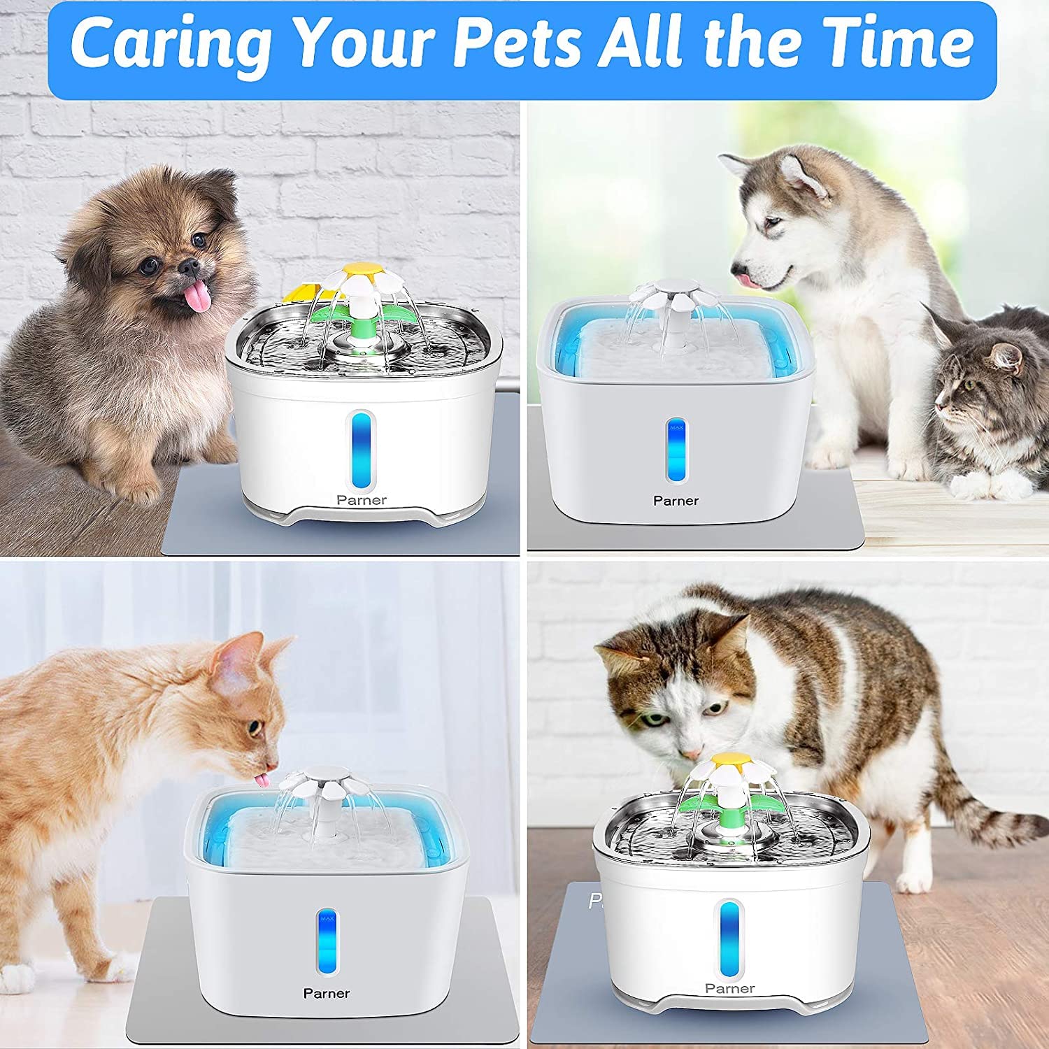 Filtros de Fuente para Gatos, 12 Piezas Filtro de Repuesto de Carbono para Fuente de Flores para Gatos y Perros