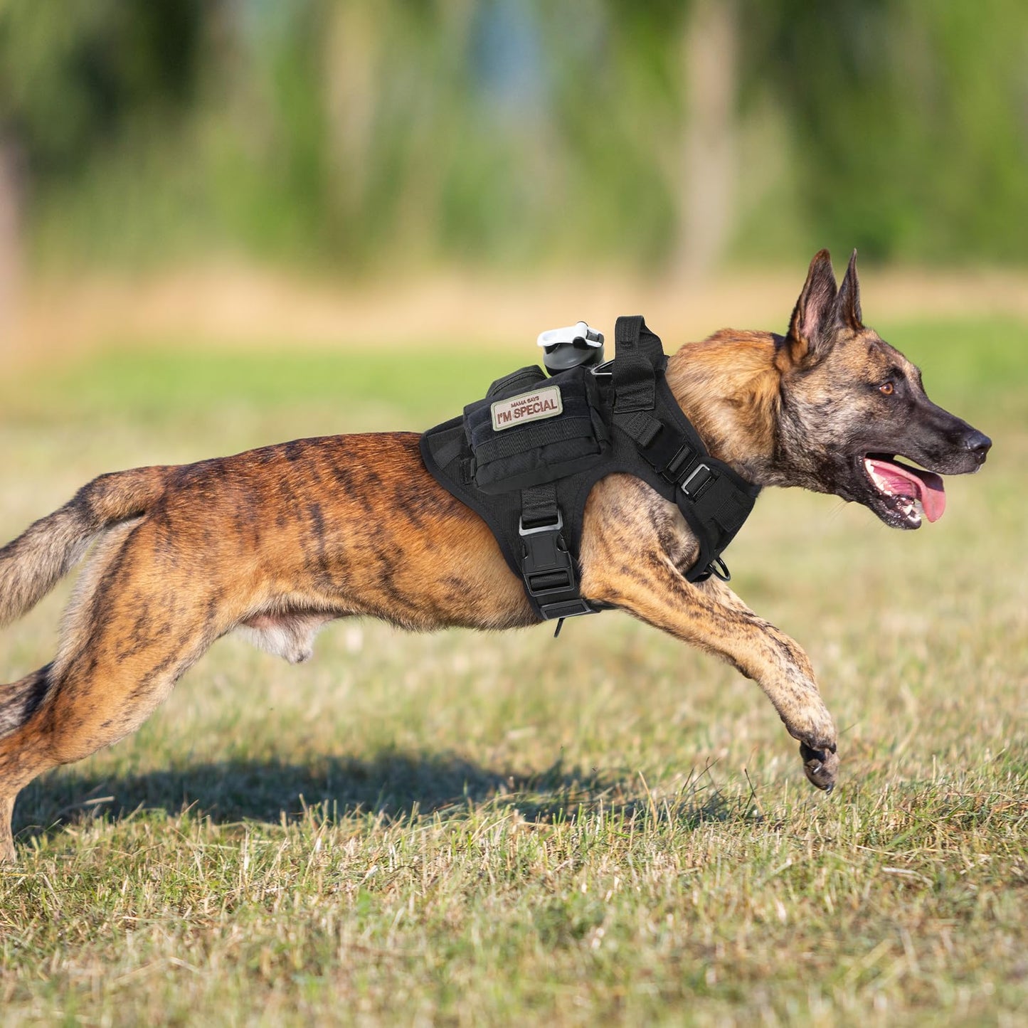 Chaleco Táctico Rabbitgoo Negro XL con Asa y Hebillas de Metal para Perro de Trabajo Militar