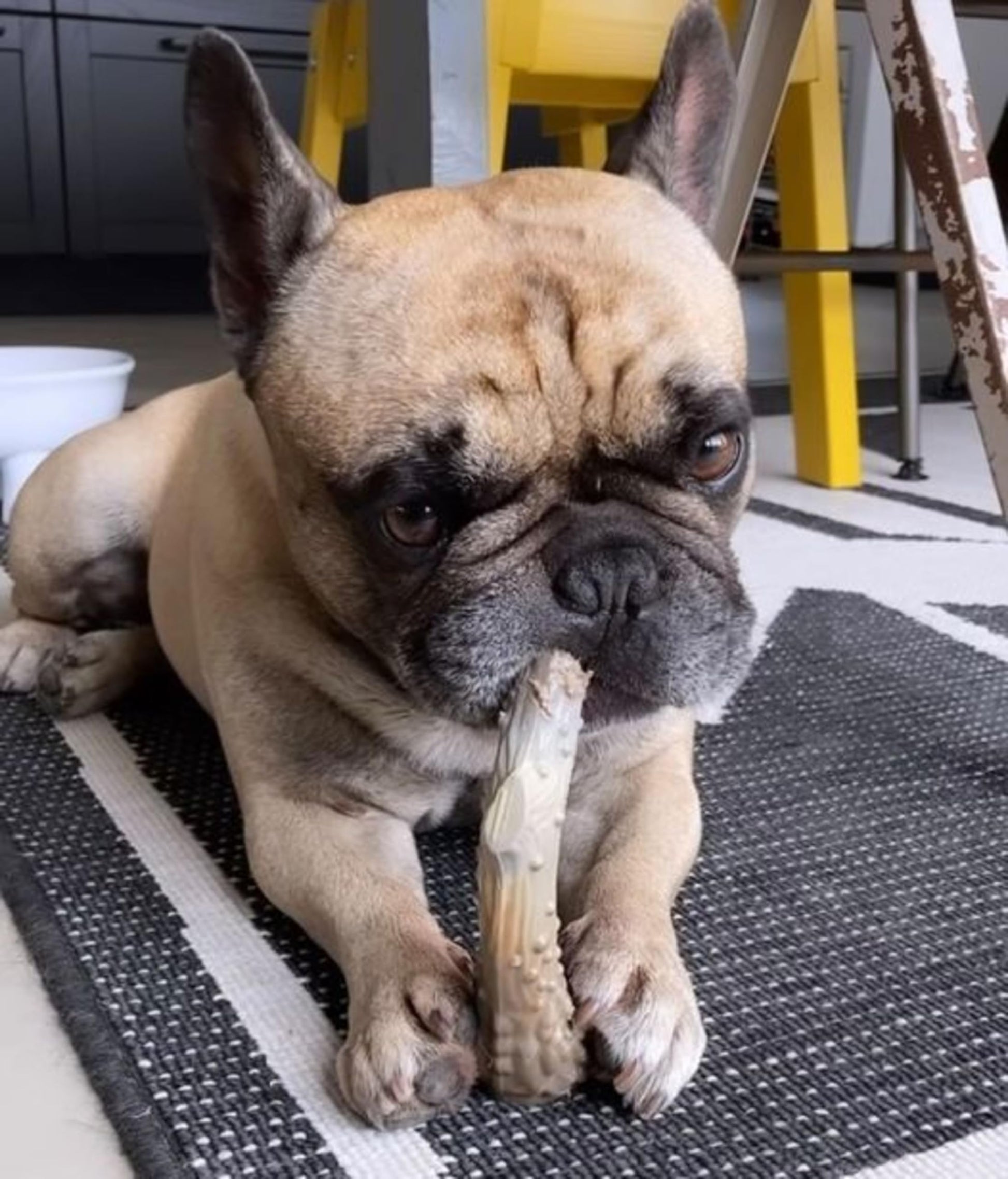 Juguete Power Chew Nylabone Antler