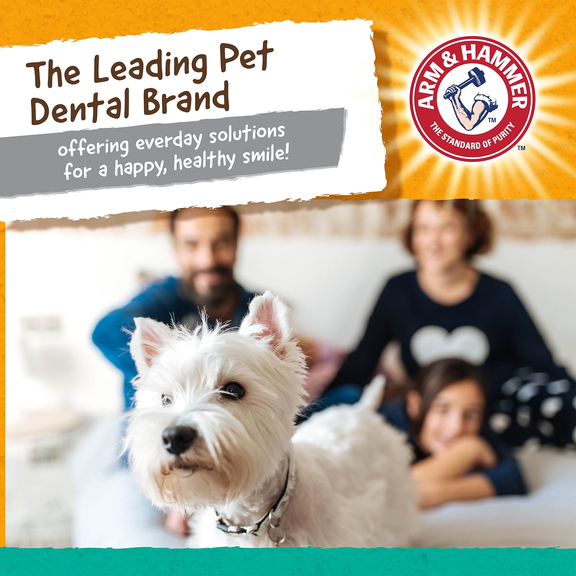 Arm & Hammer - Juguete para perros A&H Treadz Gorilla