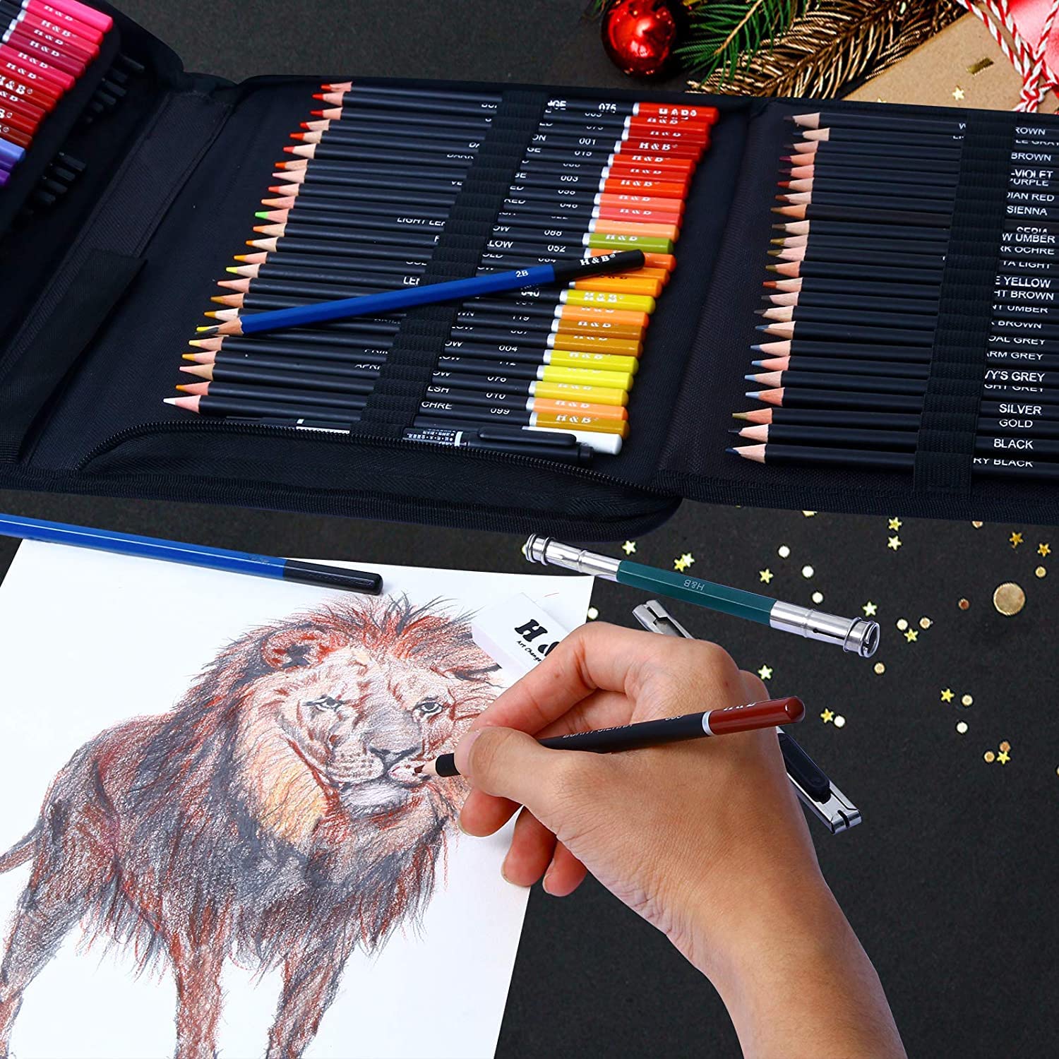 DASKING 145PCS Lápices de Dibujo Kit, Sketch Kit, Lápiz de Colores y Juego de Becetos y Dibujo de Arte Set, Completo de Artista, Suministros de Dibujo, Regalo Perfecto para Artistas, Adultos