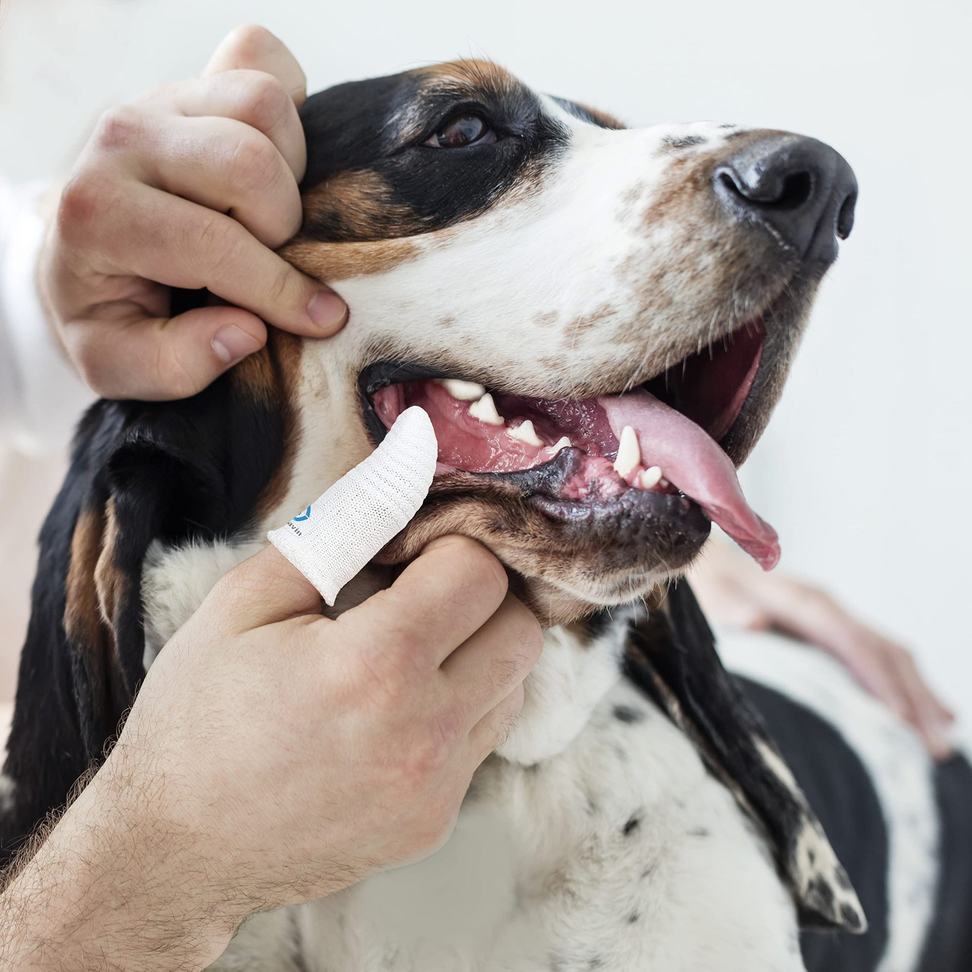 Cepillo de Dientes MoiiLavin Blanco Lavable y Duradero para Perros y Gatos