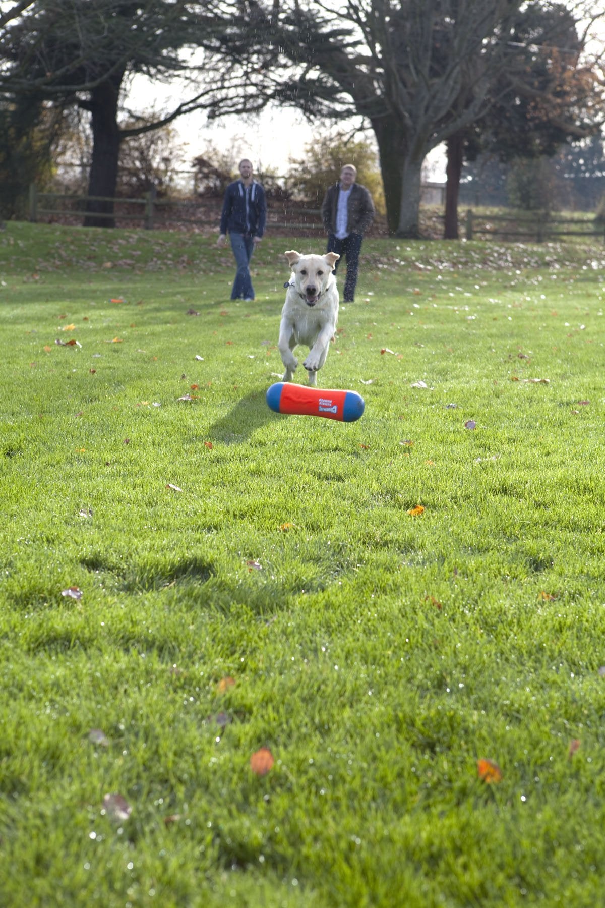 Chuckit! Juguete de Perro para Parachoques, tamaño Mediano