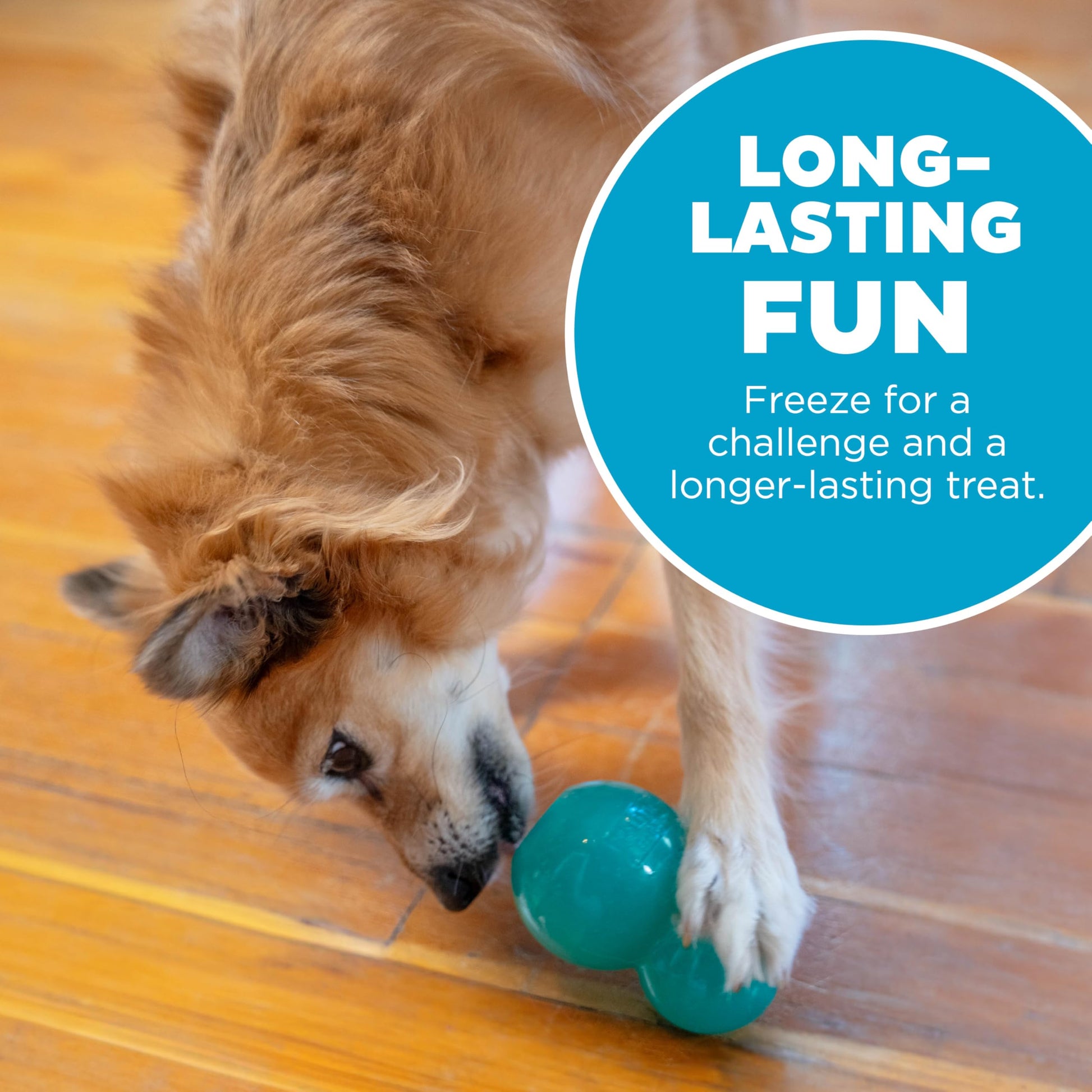 Juguete Masticable Interactivo Outward Hound Azul Mediano para Perro