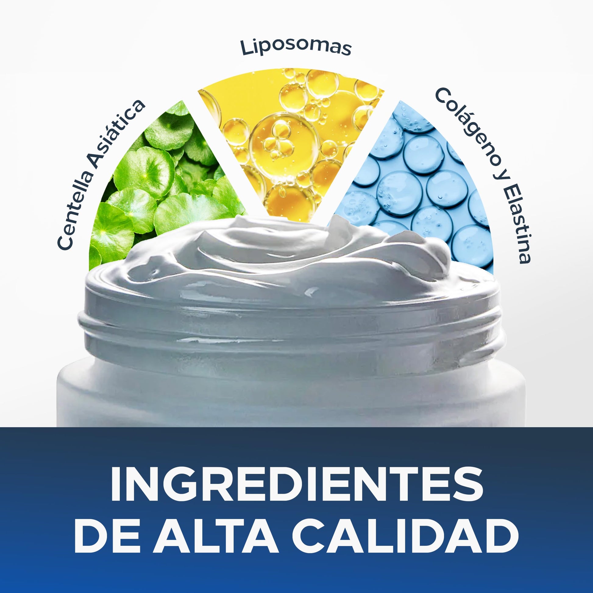 Crema Hidratante Facial CENTELLA LIFT & FIRM | Con Nanopartículas de Centella Asiática y Liposomas - 50g | Sin Aroma | Hidratante Ideal para Todo Tipo de Piel - Skin care Diario | ALBERÚ ET FILS