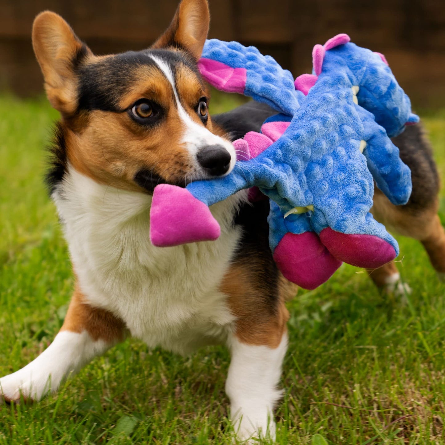 GoDog Dragons con tecnología de protección para masticar, Periwinkle, Large