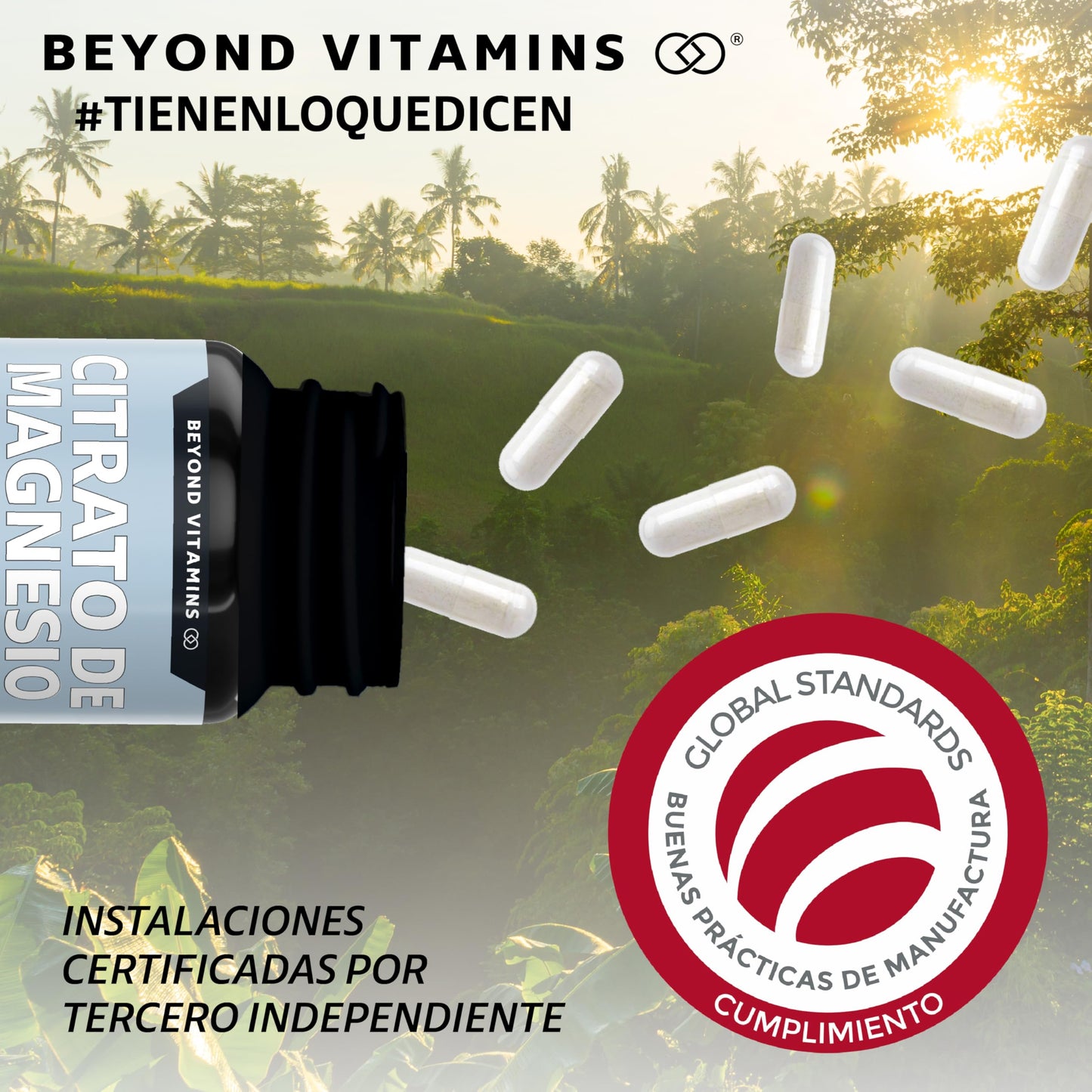 Beyond Vitamins | Citrato de Magnesio 2100mg | Citrato de Magnesio sin rellenos | Suplemento alimenticio de Magnesium Citrate | 60 caps