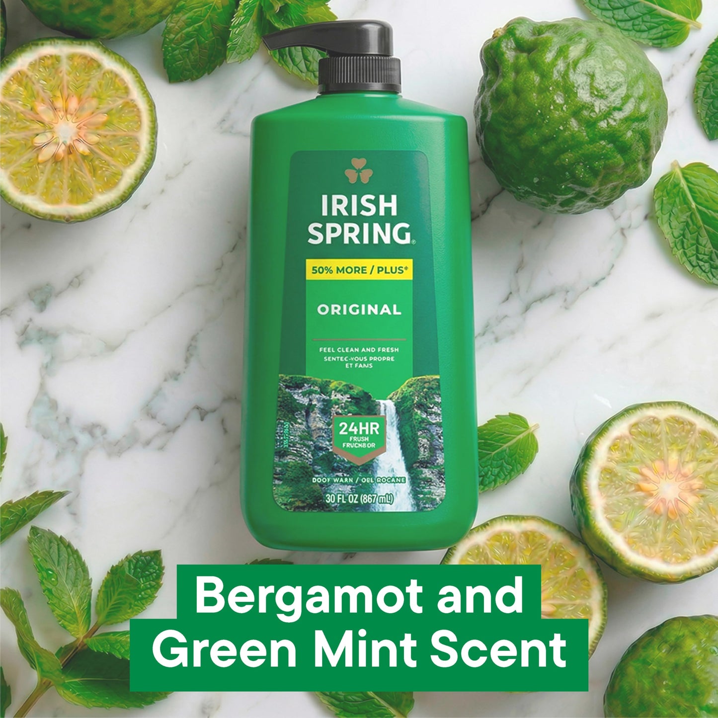 IRISH SPRING ORIGINAL CLEAN 30oz PUMP
